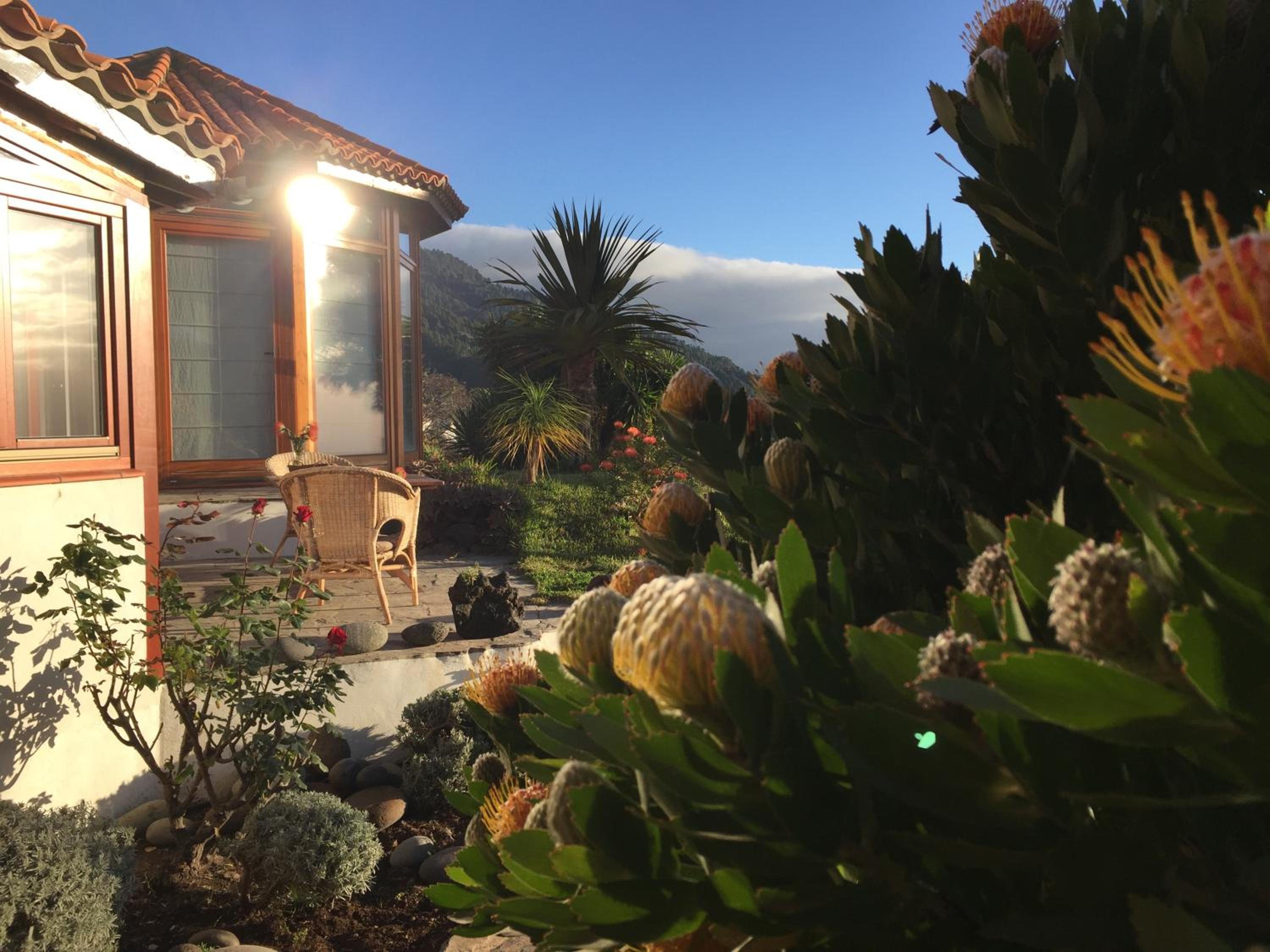 Finca Madrugada view 5