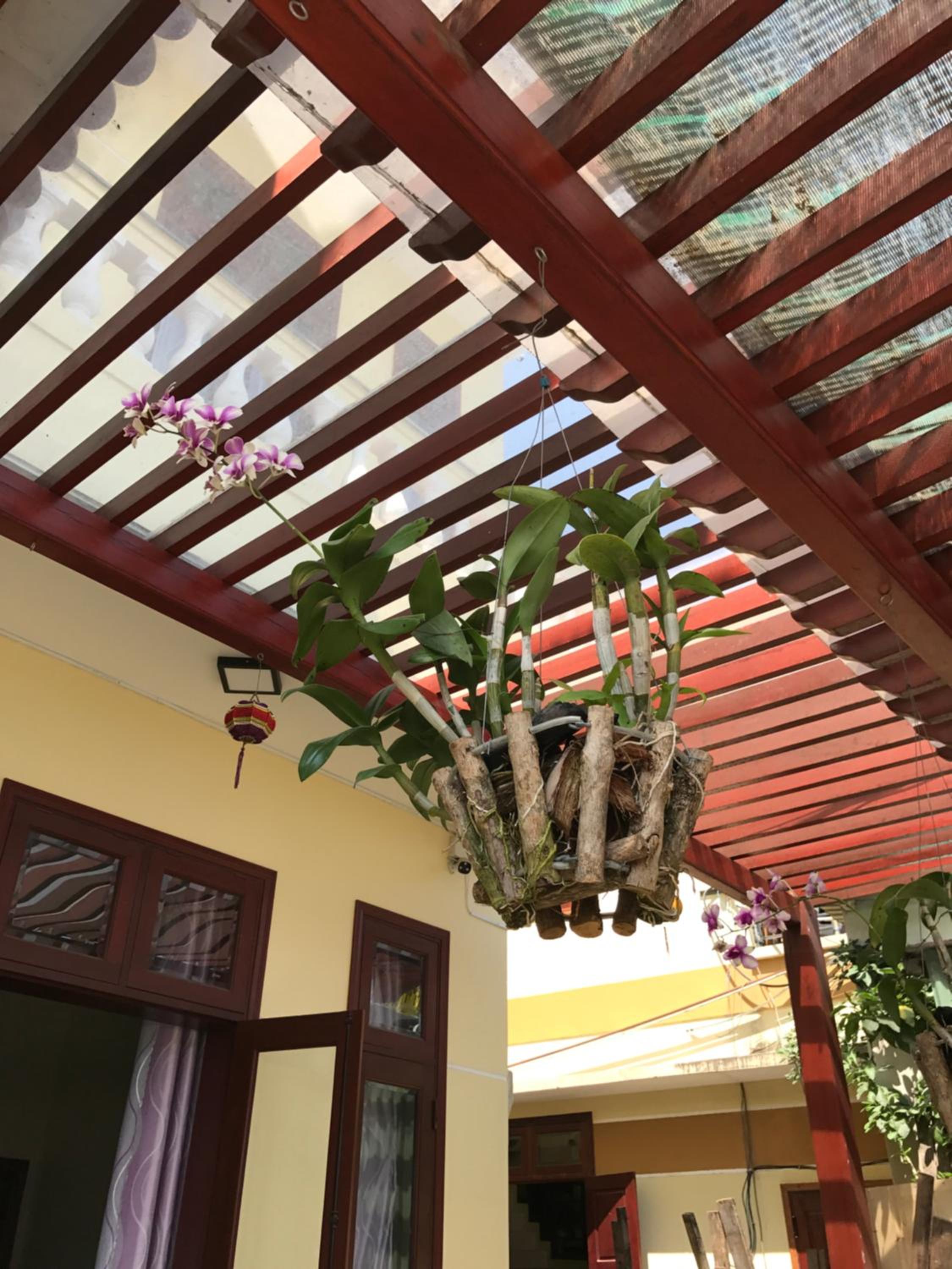 Qua Cam Tim Homestay