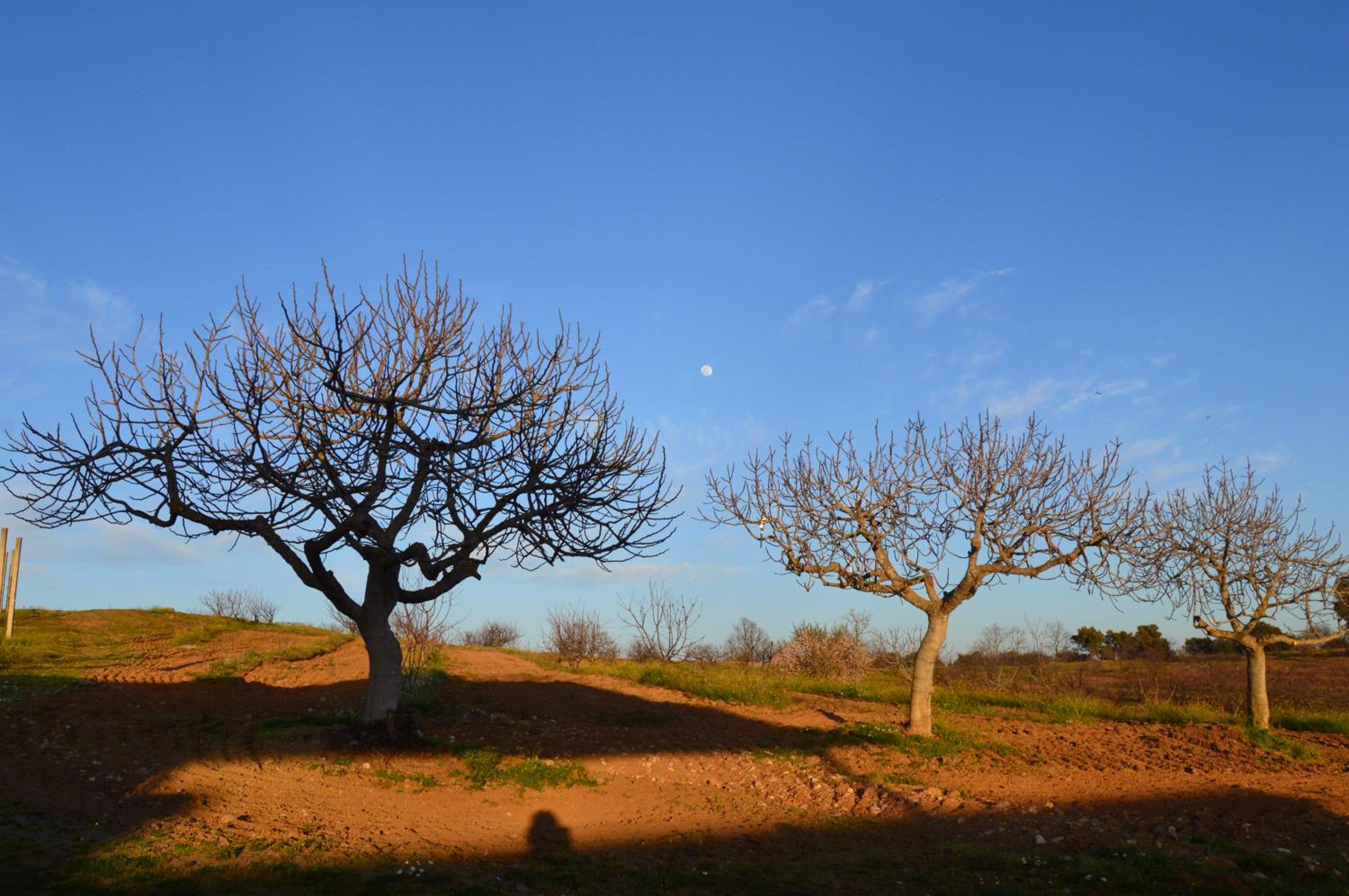 Casa Rural La Vallejera