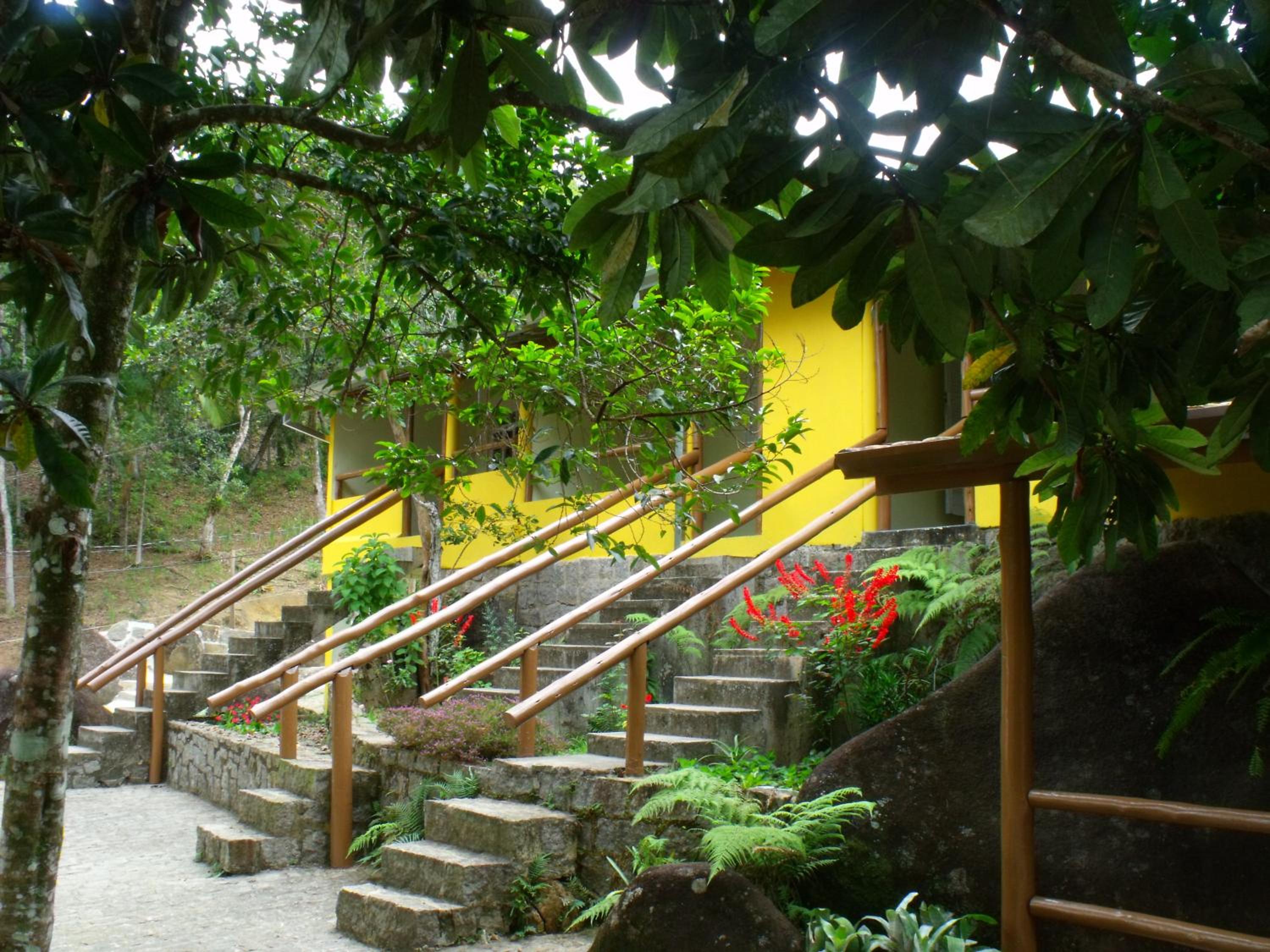 Photo 44