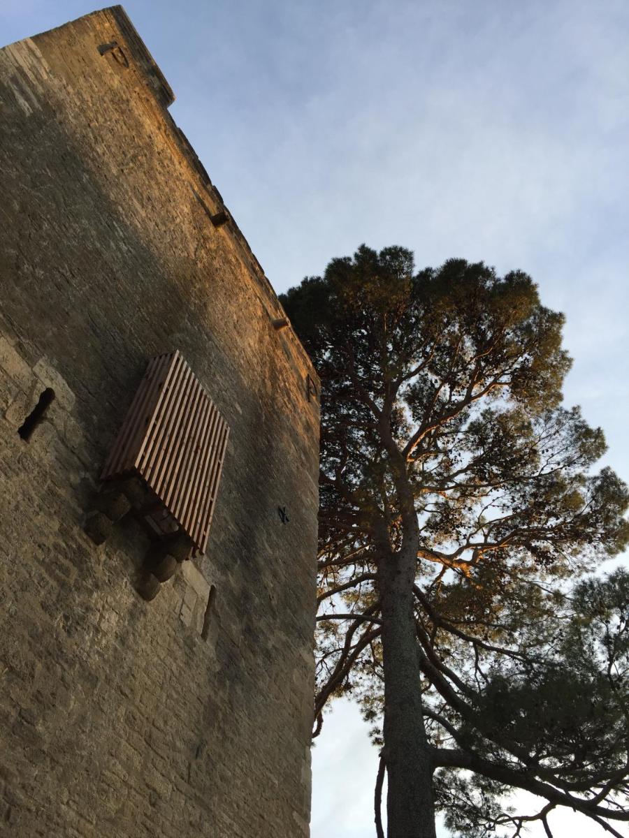 Tour Sarrazine de Montaren