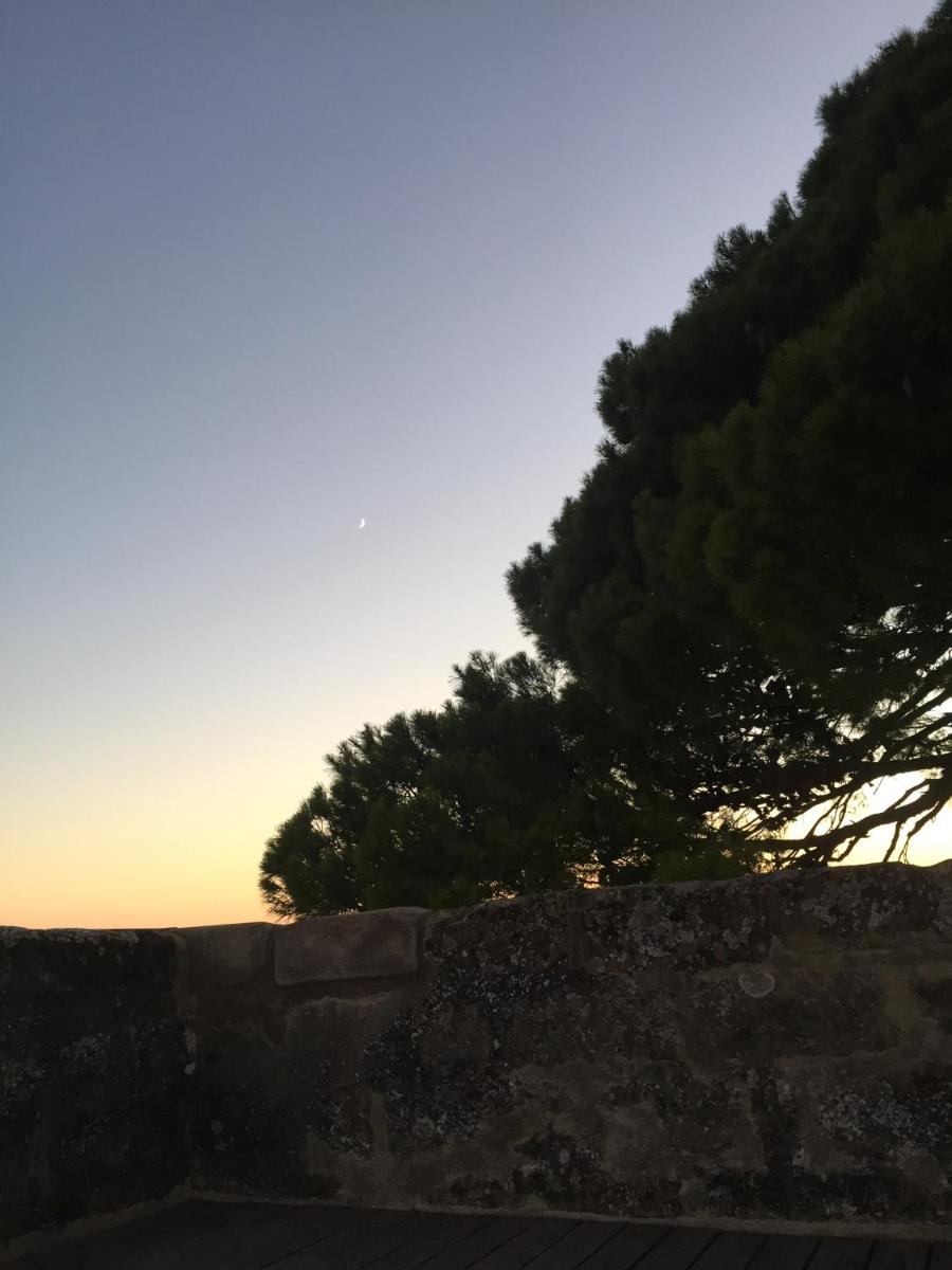 Tour Sarrazine de Montaren