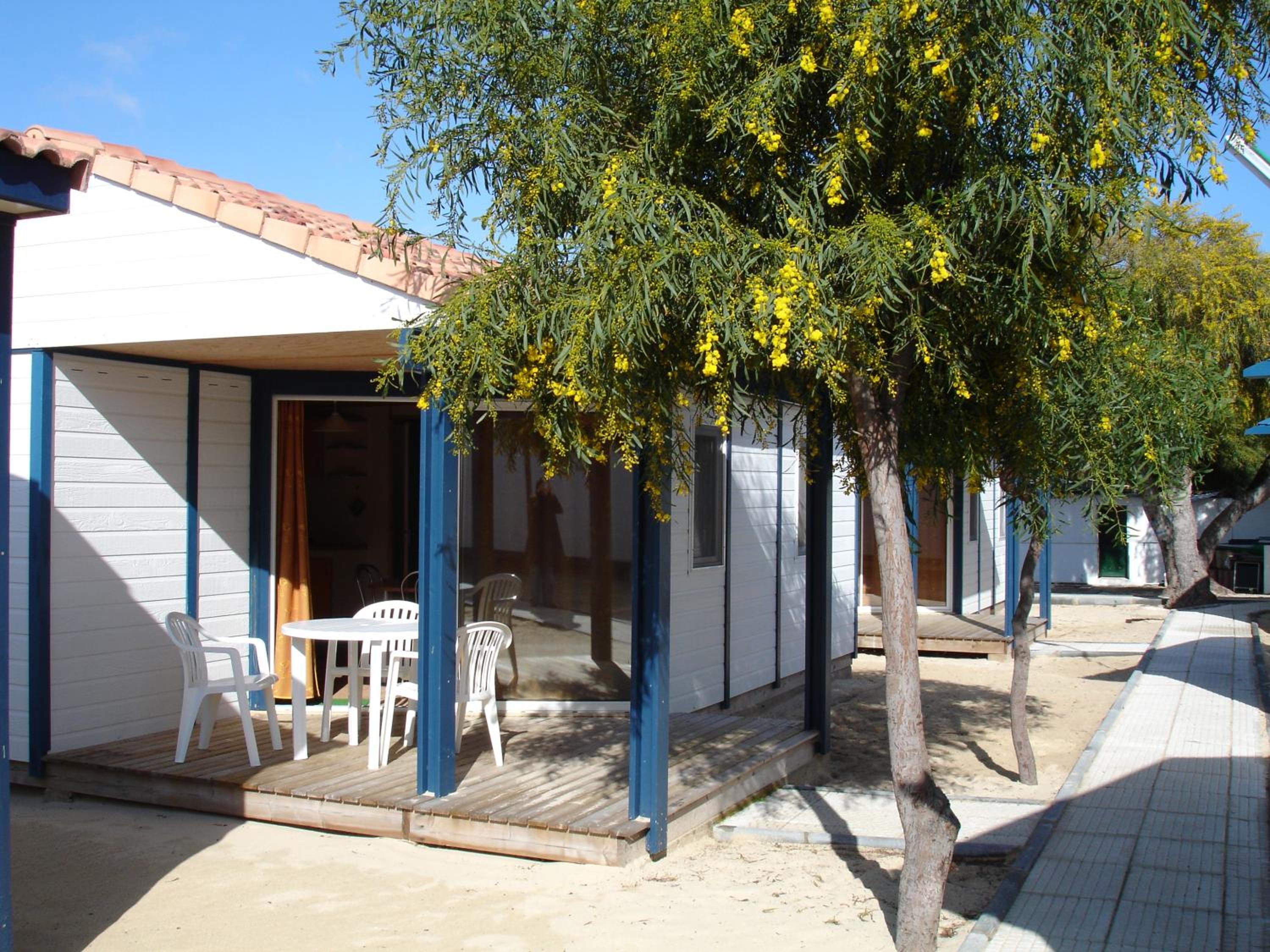 Orbitur Ilha de Armona view 2