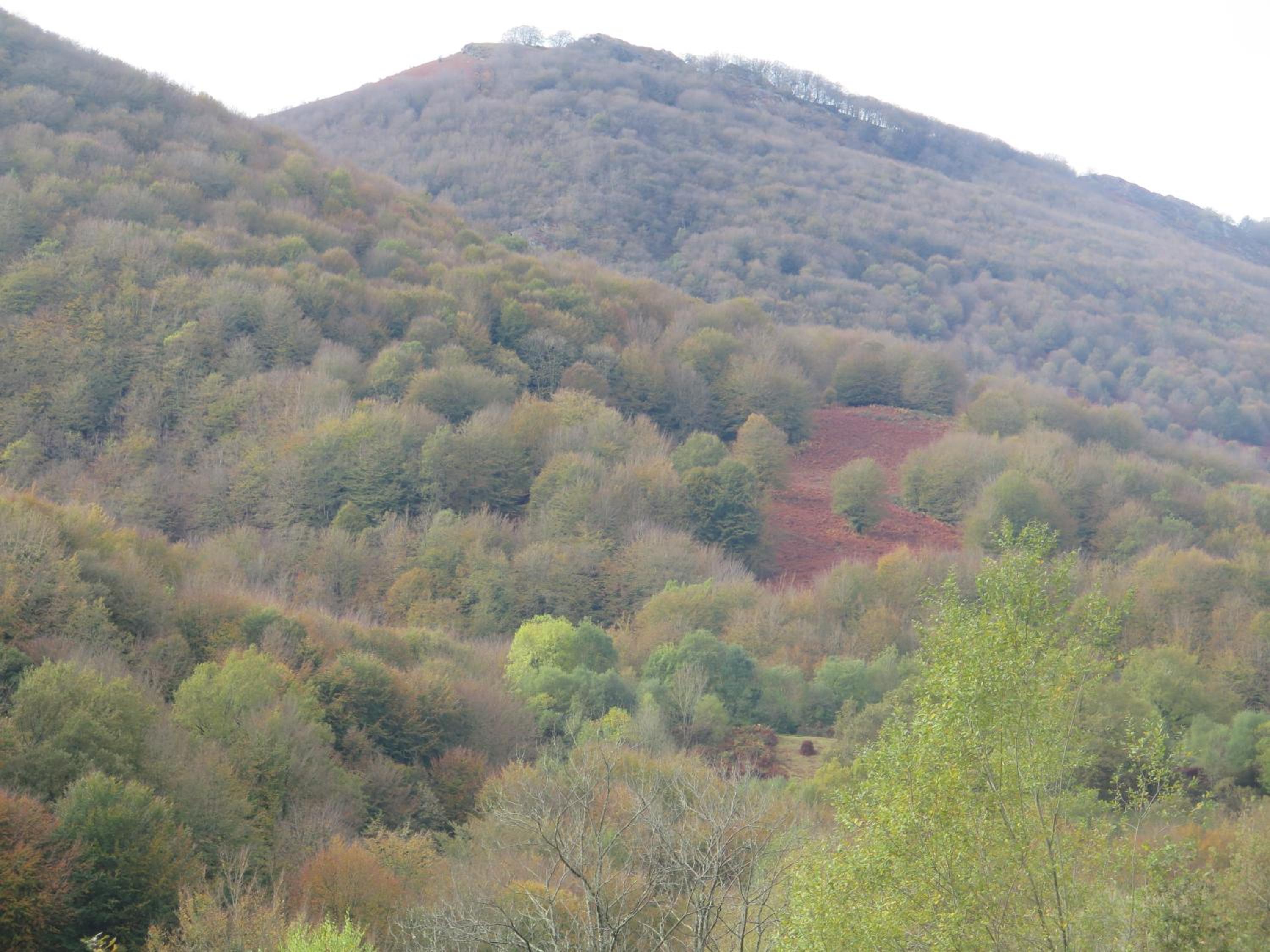 CASA RURAL Urruska view 5