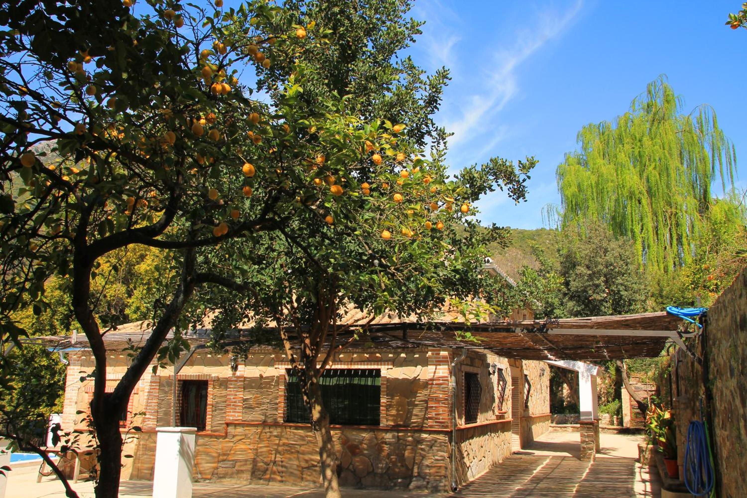 Photo 10
