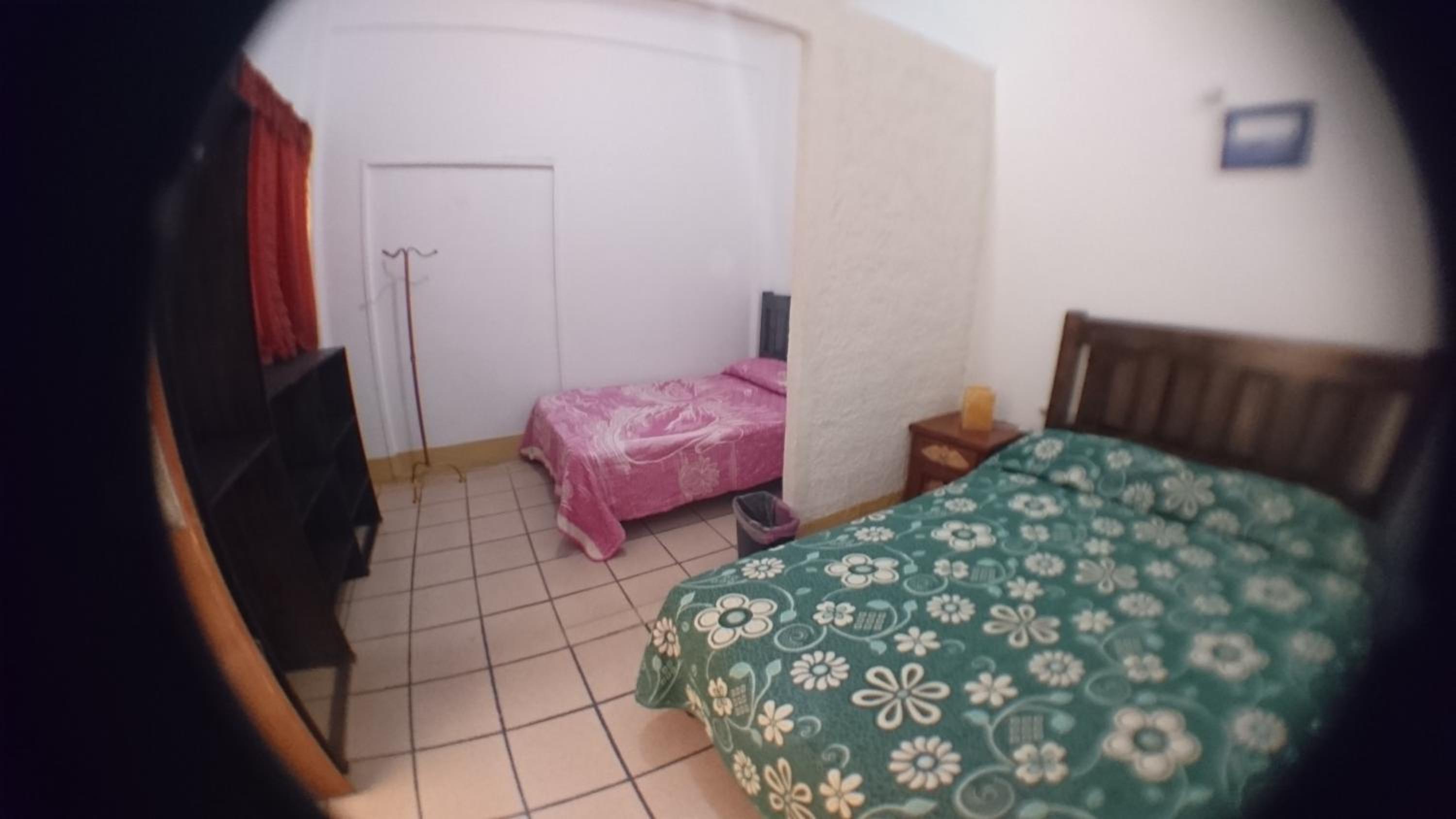 Photo 119
