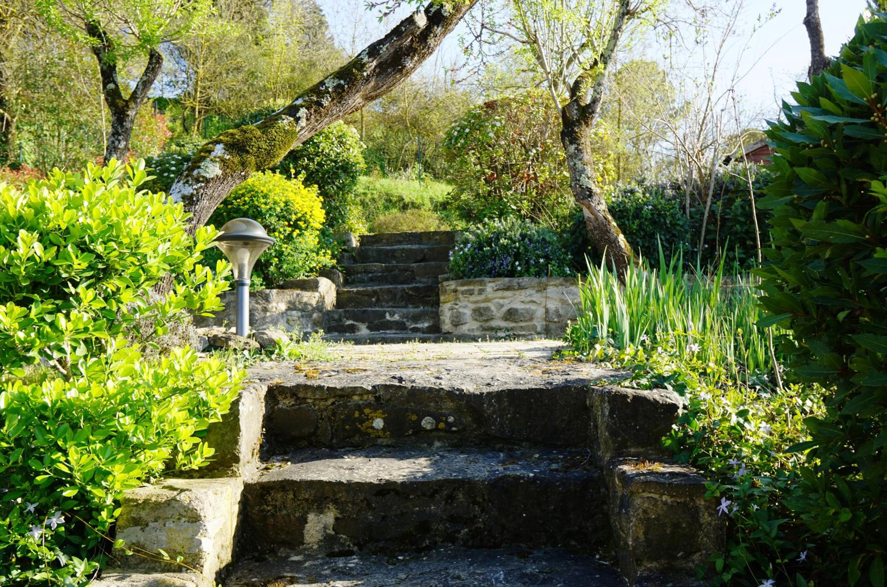 Photo 28