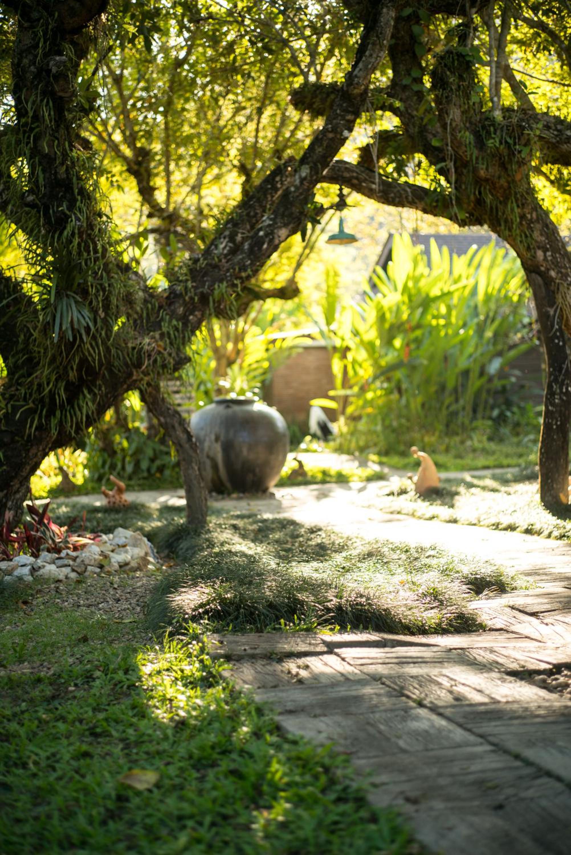 Photo 45
