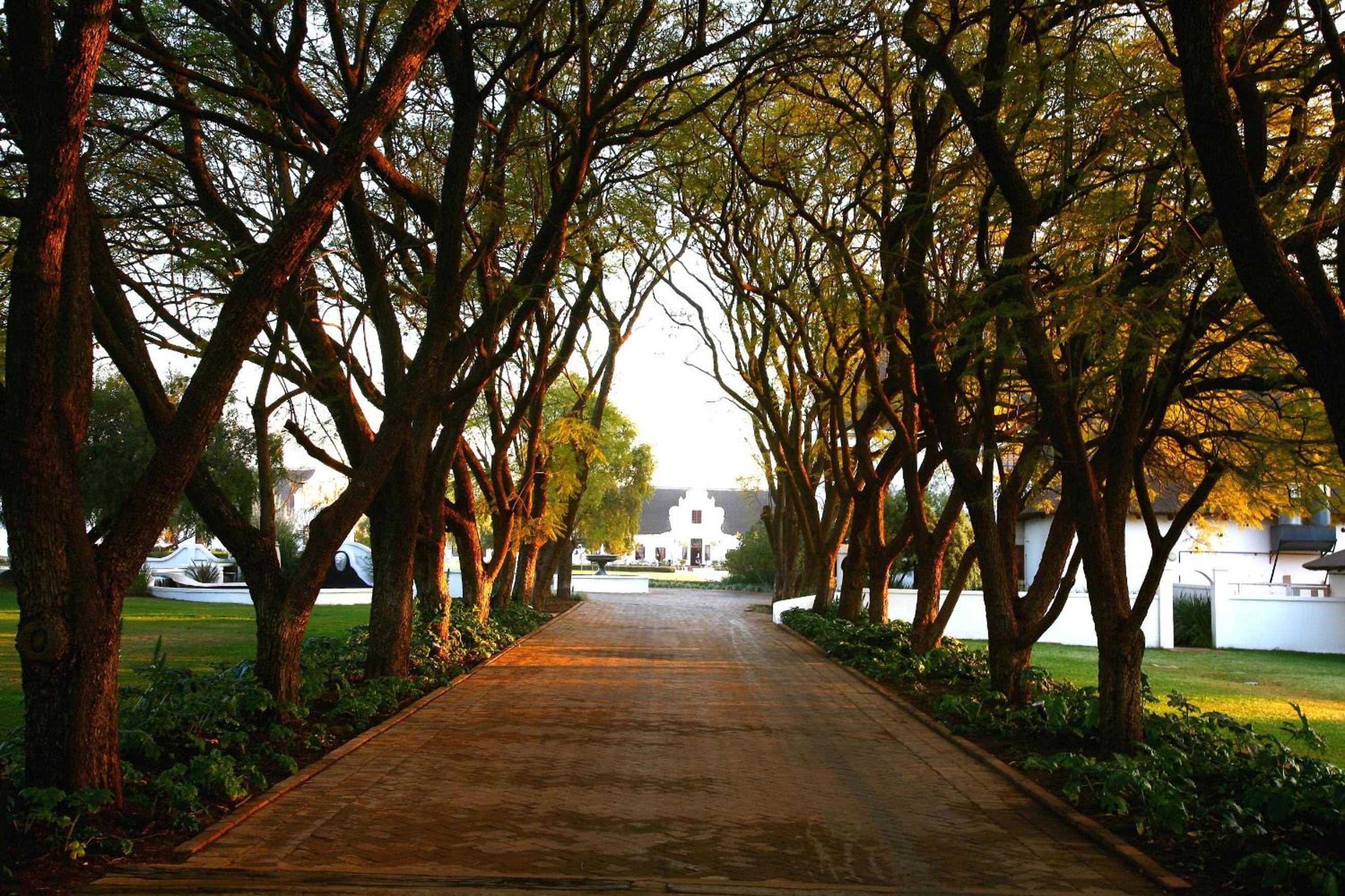 Hotel Kievits Kroon Gauteng Wine Estate - Image 1
