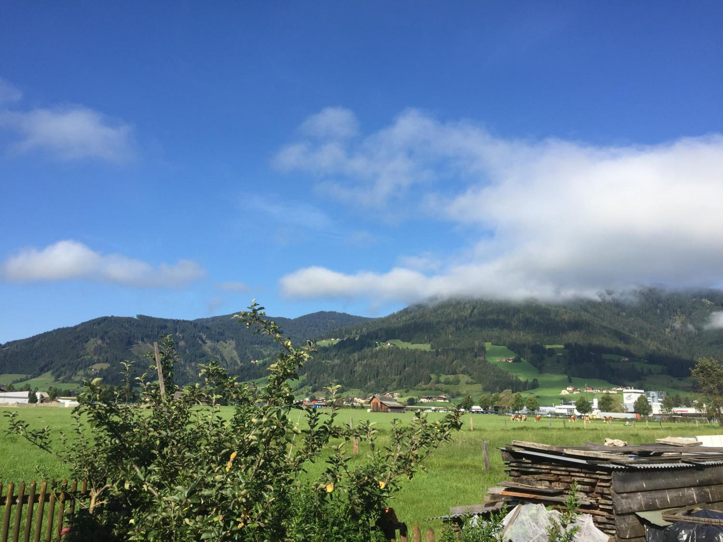 Pension Wieser 