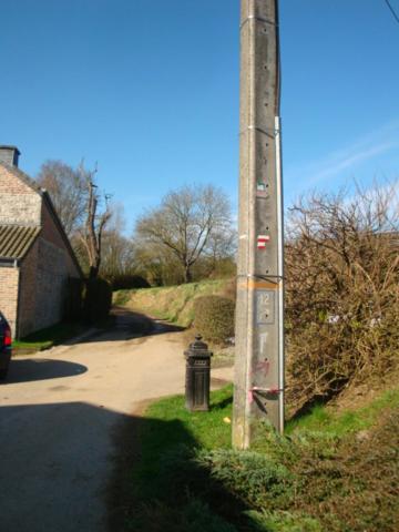 Le poirier de Warre