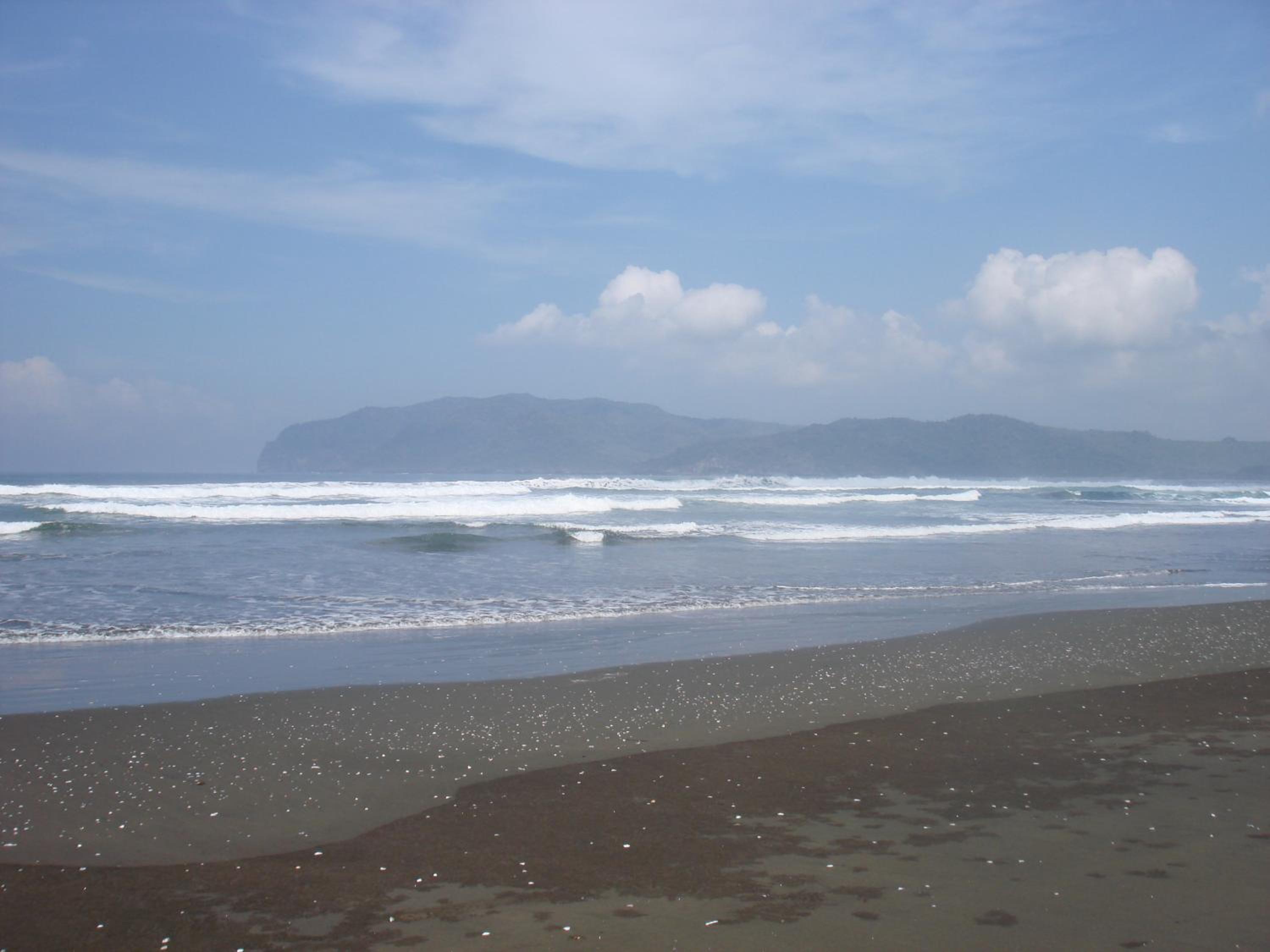 Thalia Homestay & Ijen Bromo Tour view 4