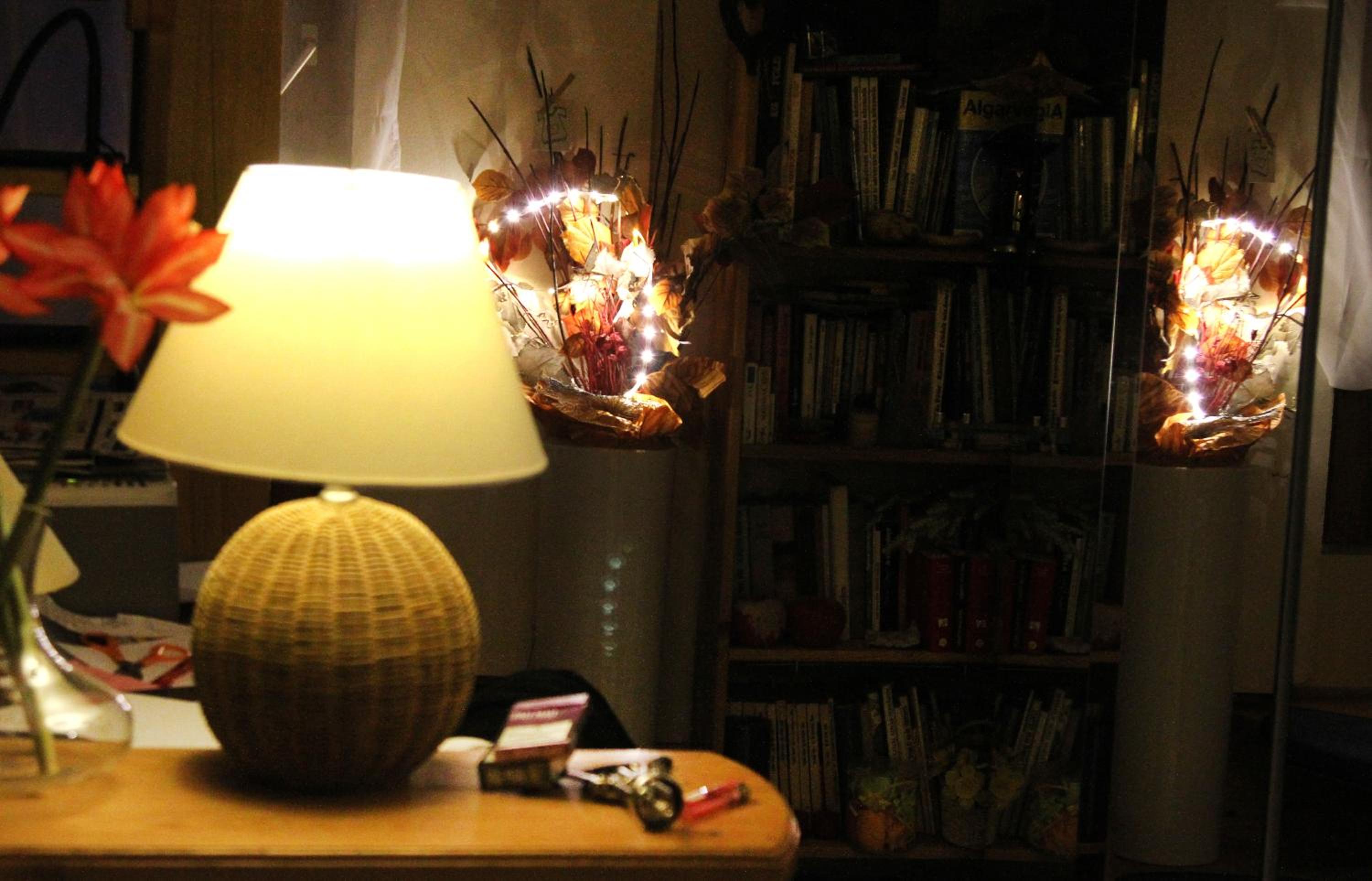 Photo 41