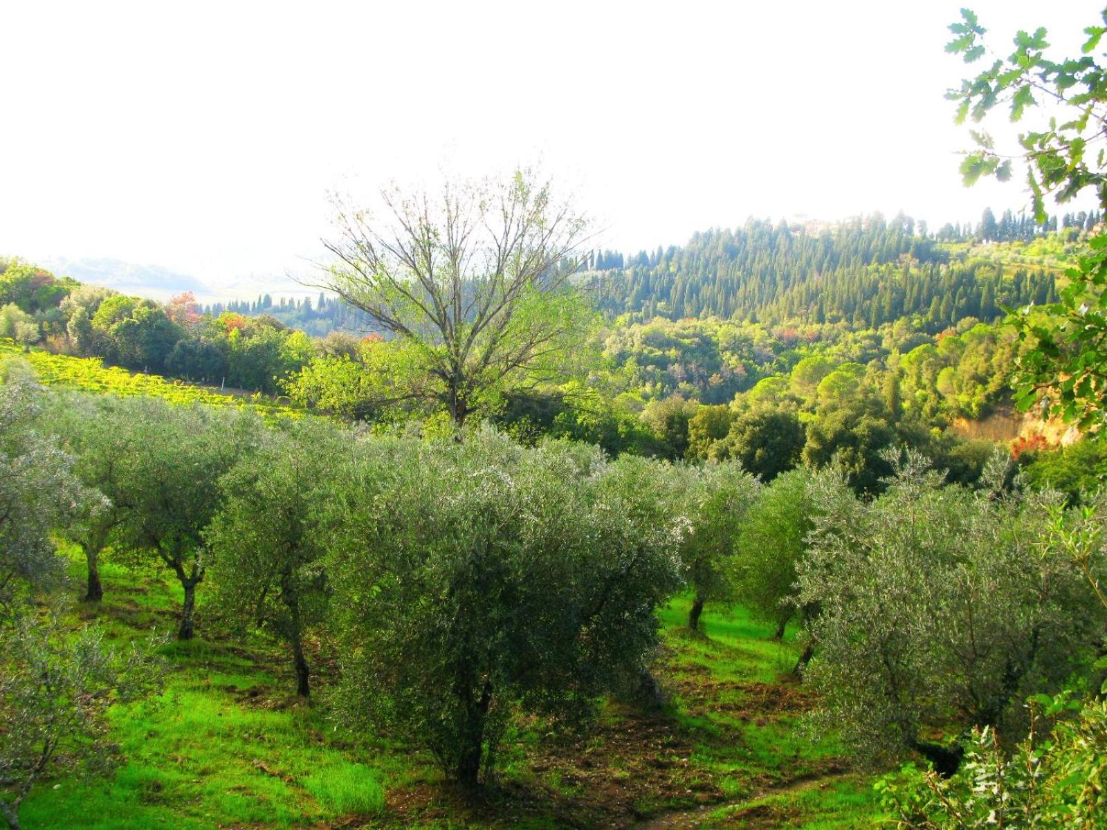 Agriturismo Martignana Alta