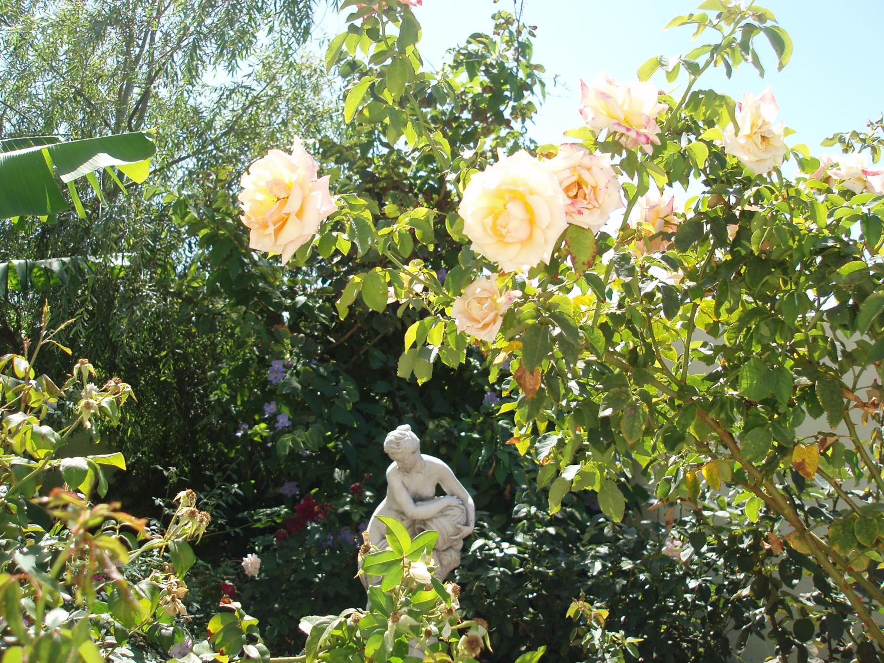Photo 35