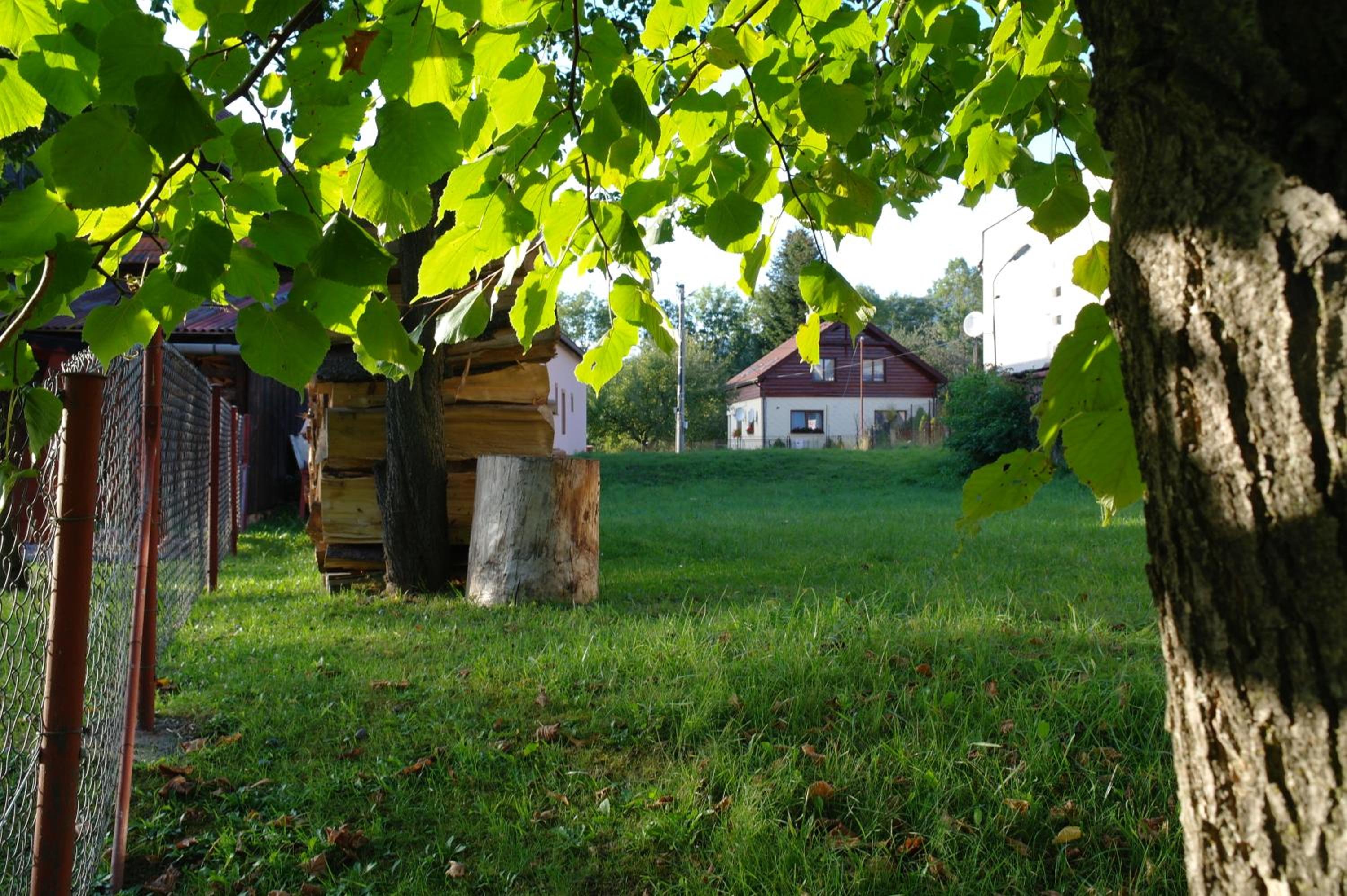 Photo 53