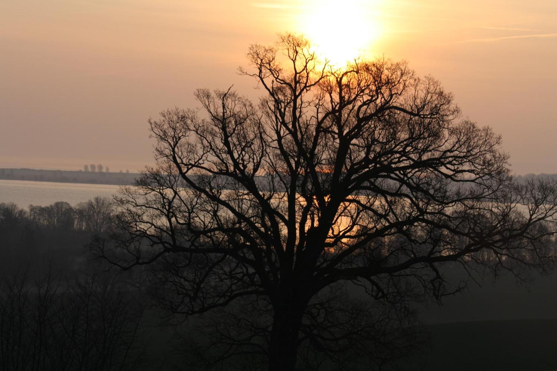 Reethus Stöfs