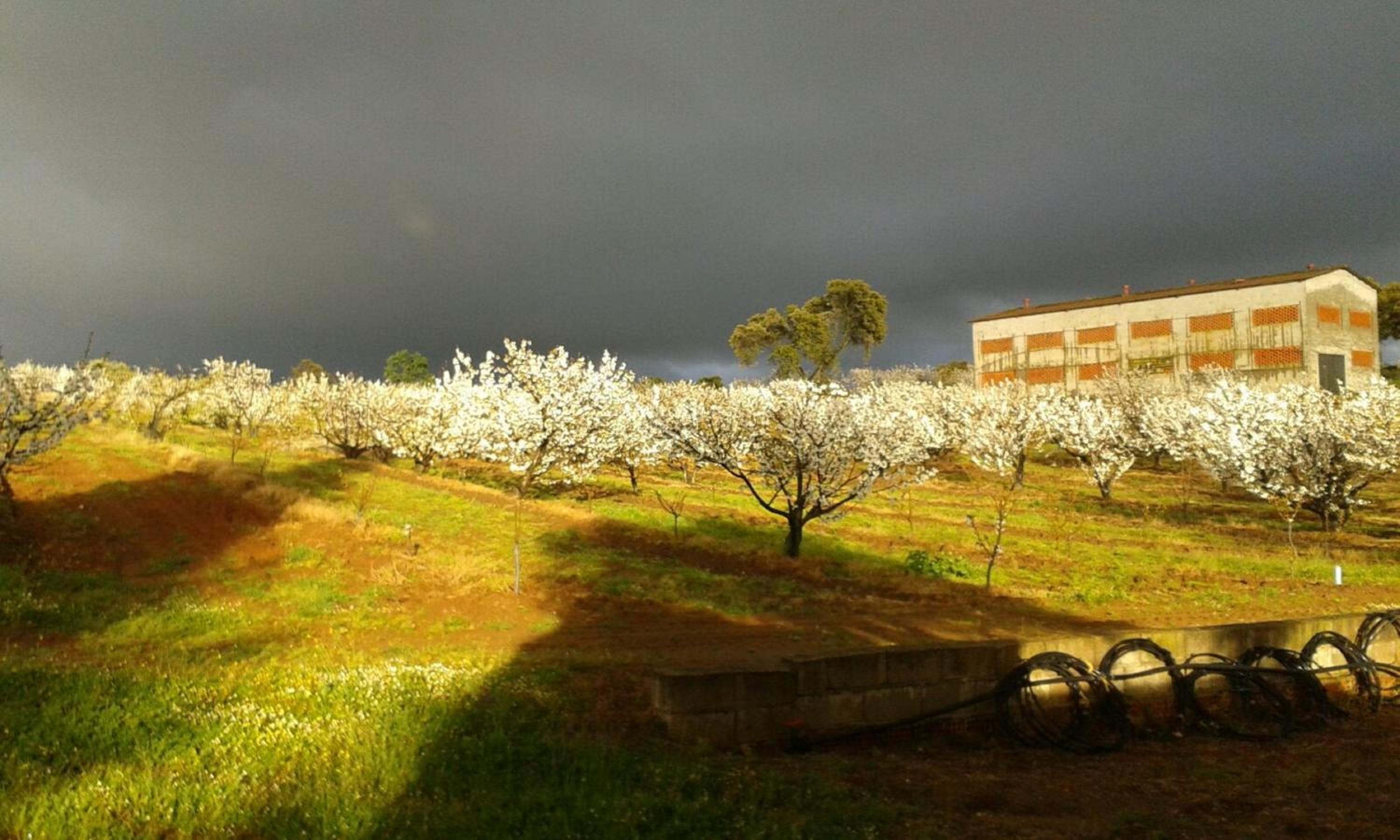 Casa Rural La Vallejera