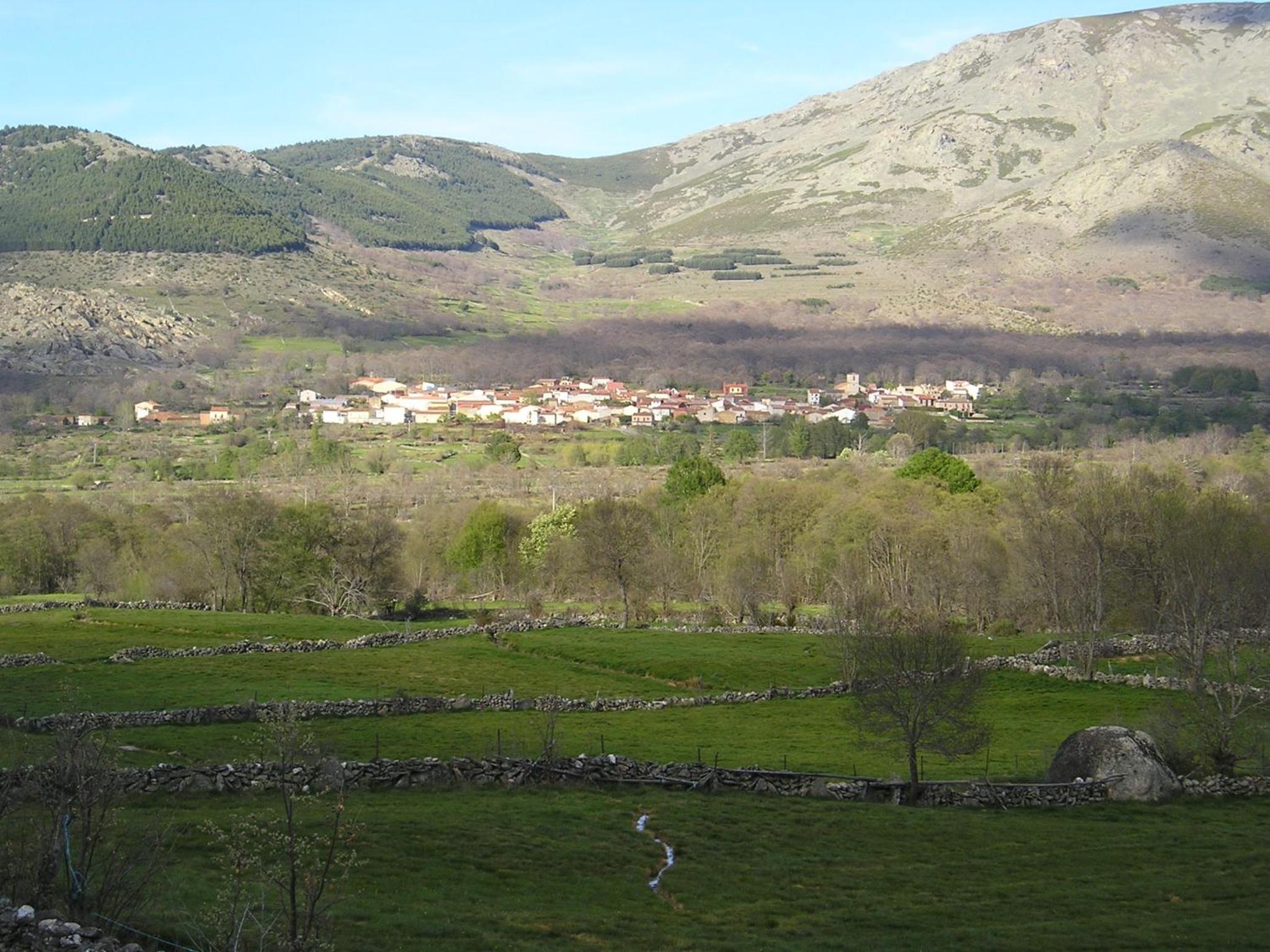 Photo 25