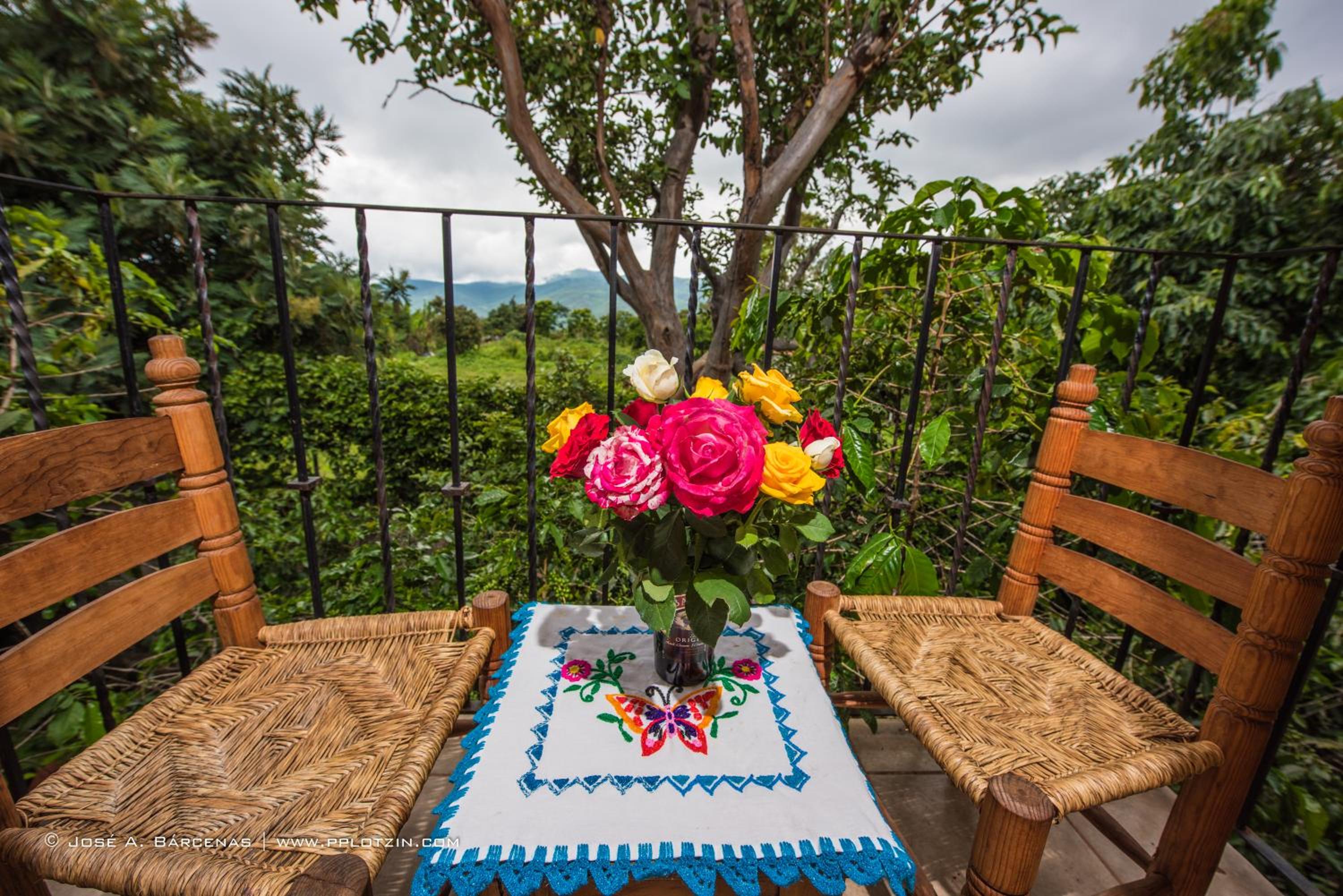 Hotel Casa Pomarrosa - Property Image 11