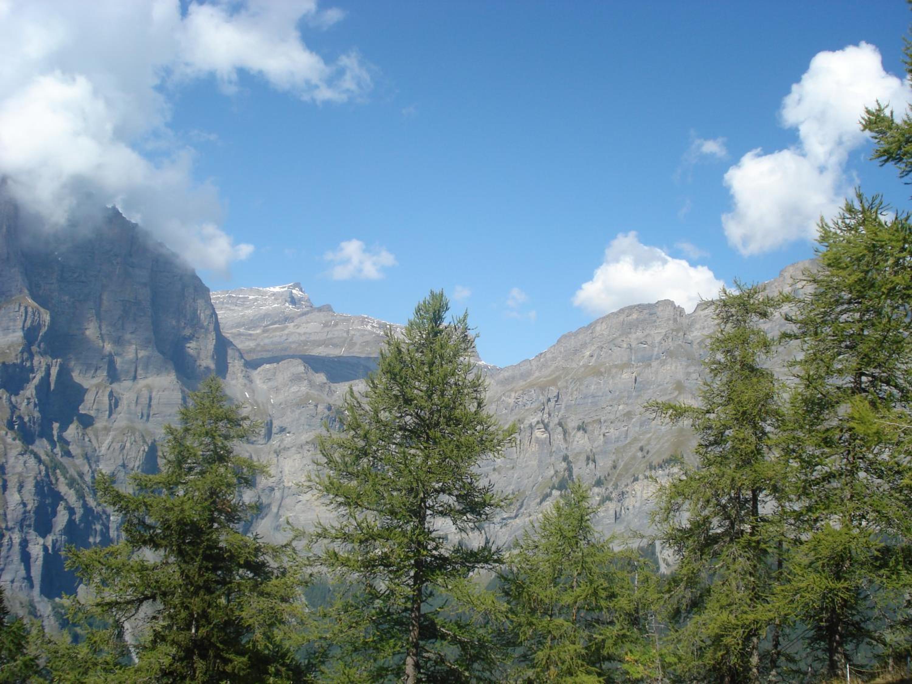 Photo 49