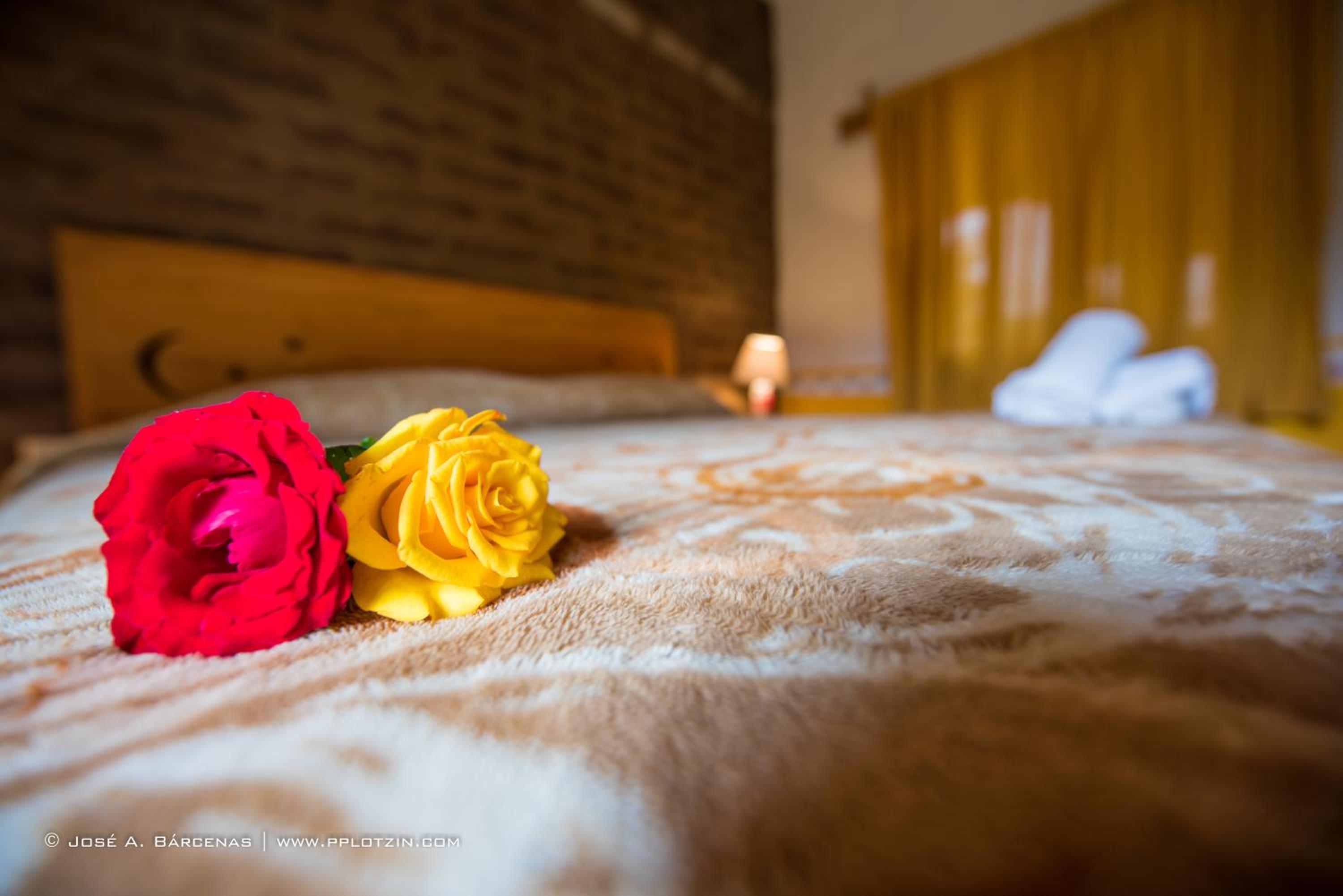 Hotel Casa Pomarrosa - Property Image 7