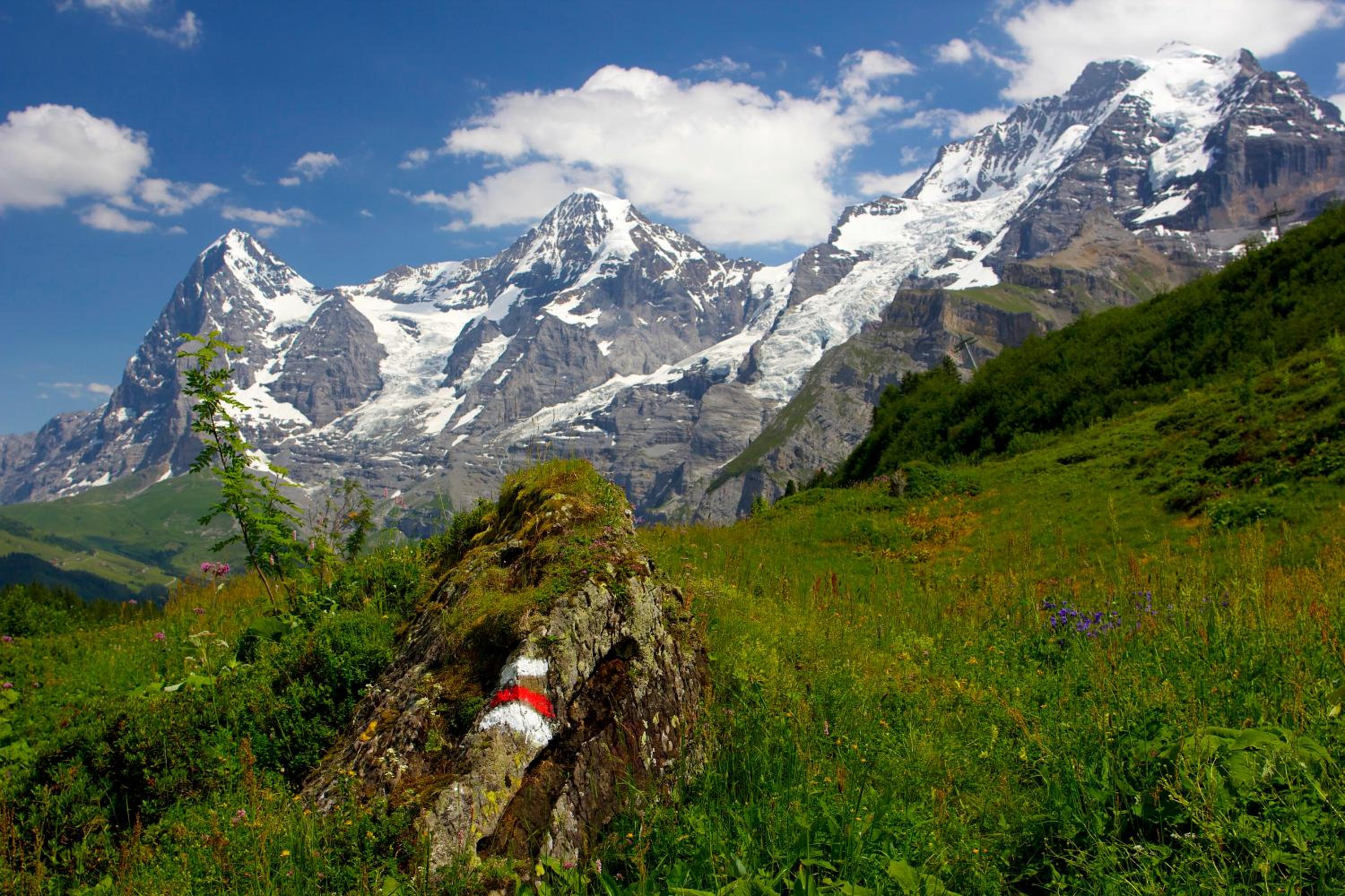 Eiger Guesthouse
