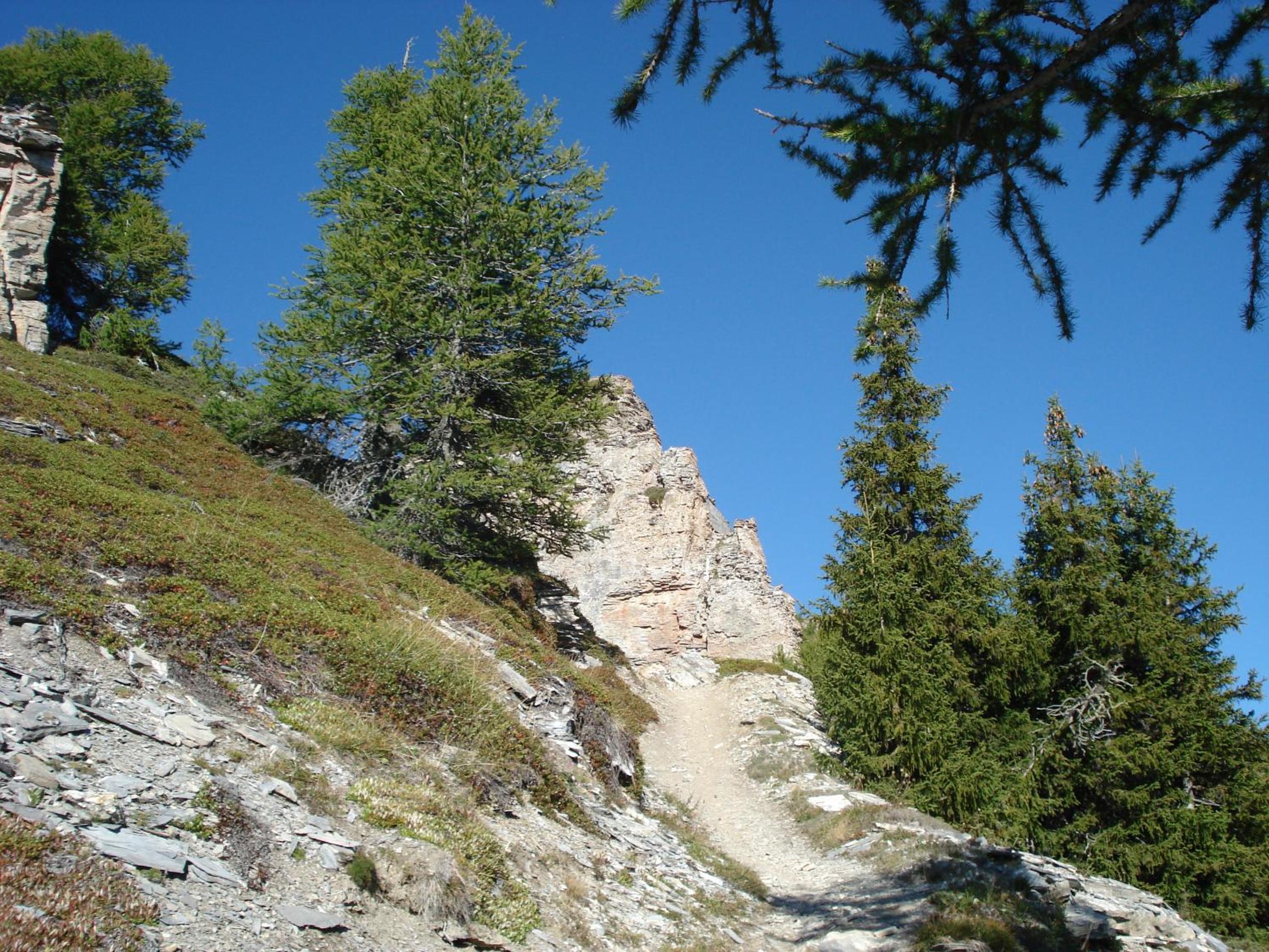 Photo 44