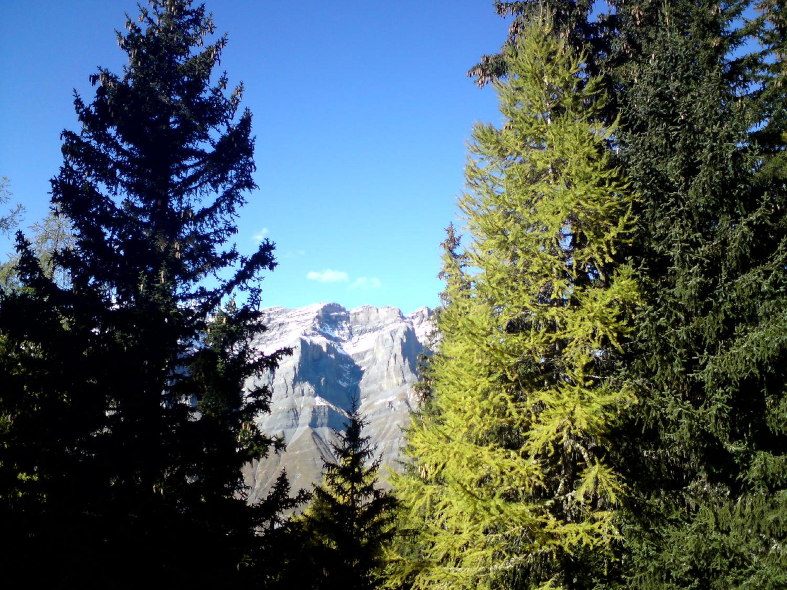Photo 43