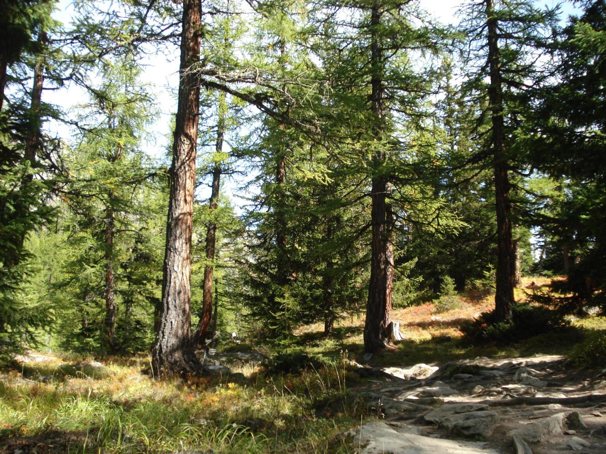 Photo 46