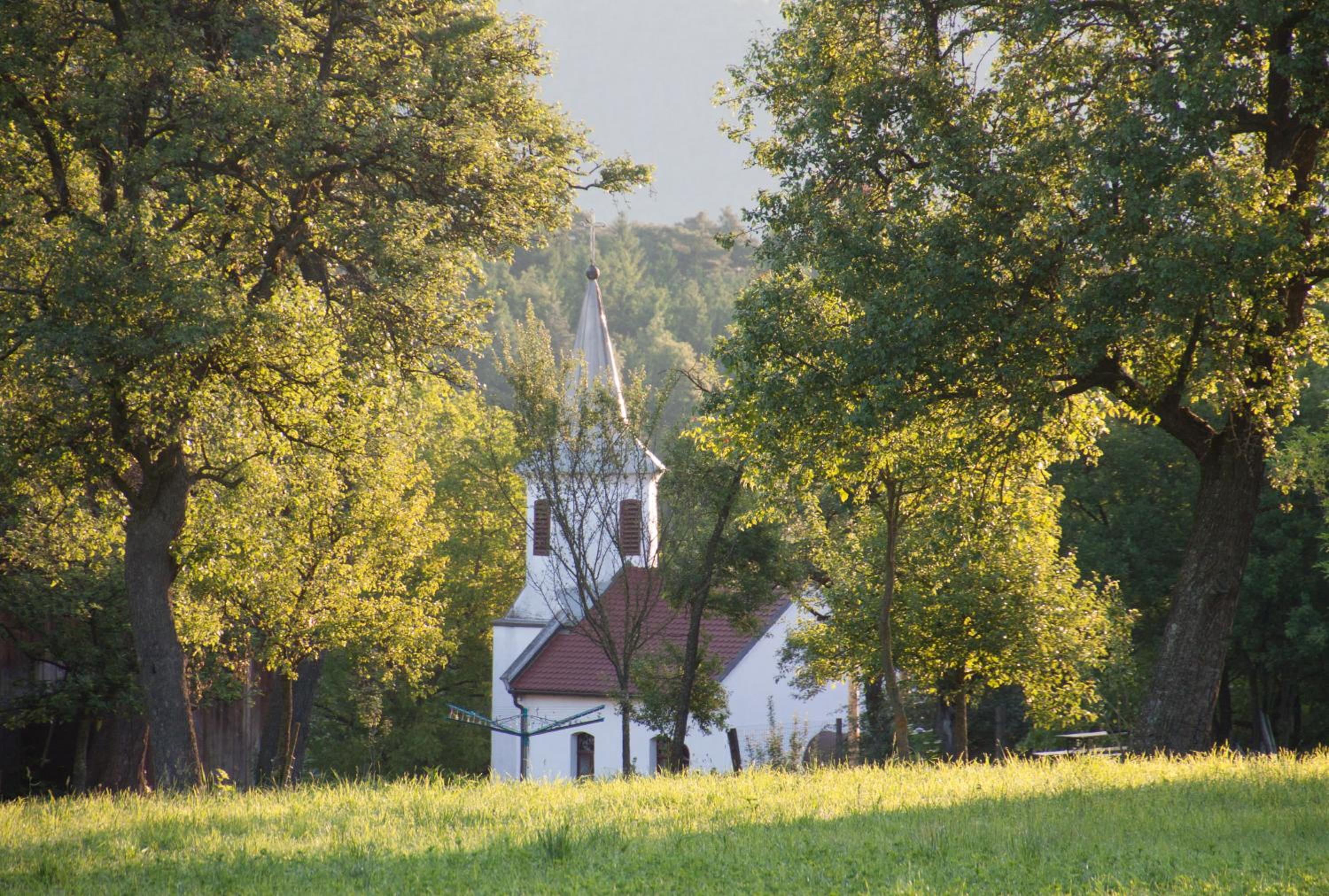 Photo 27