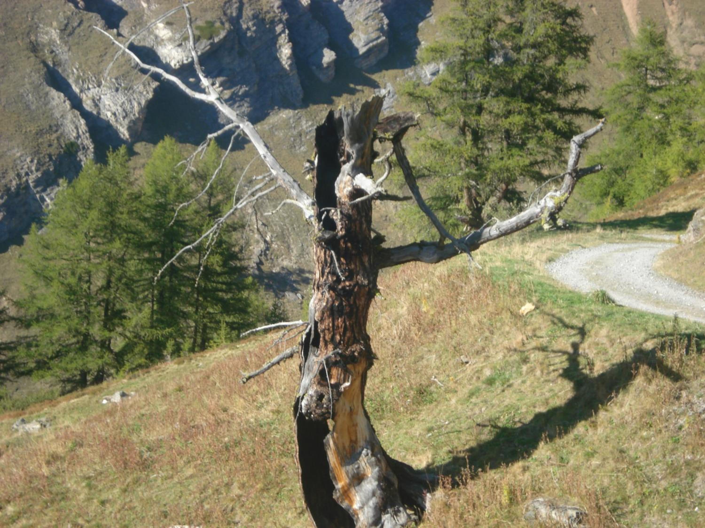 Photo 40