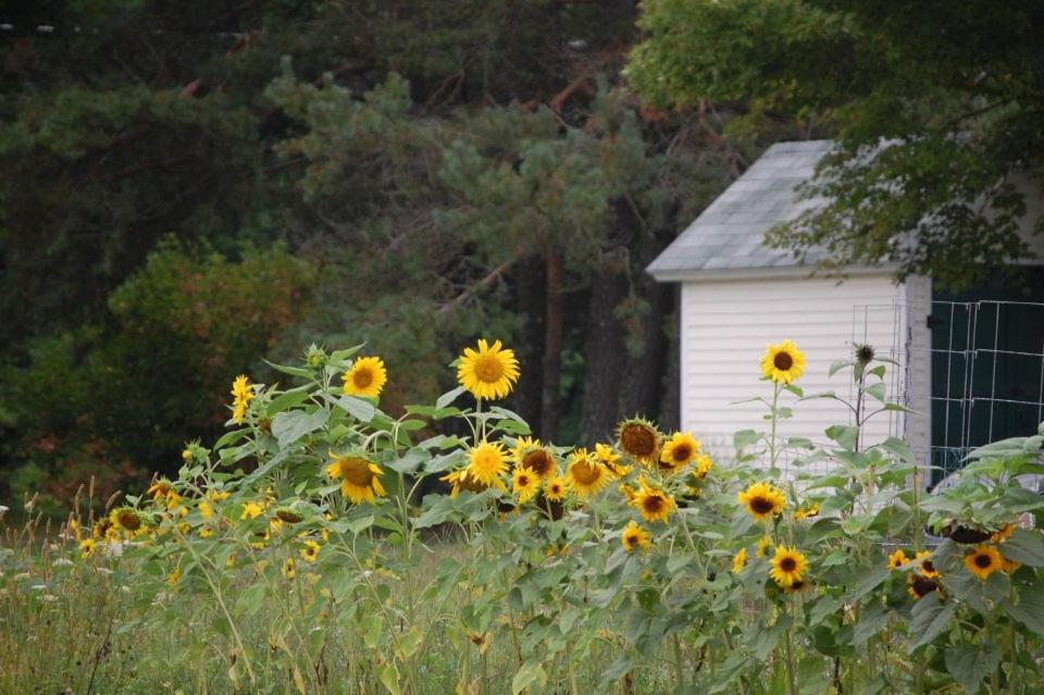 Clary Lake Bed and Breakfast