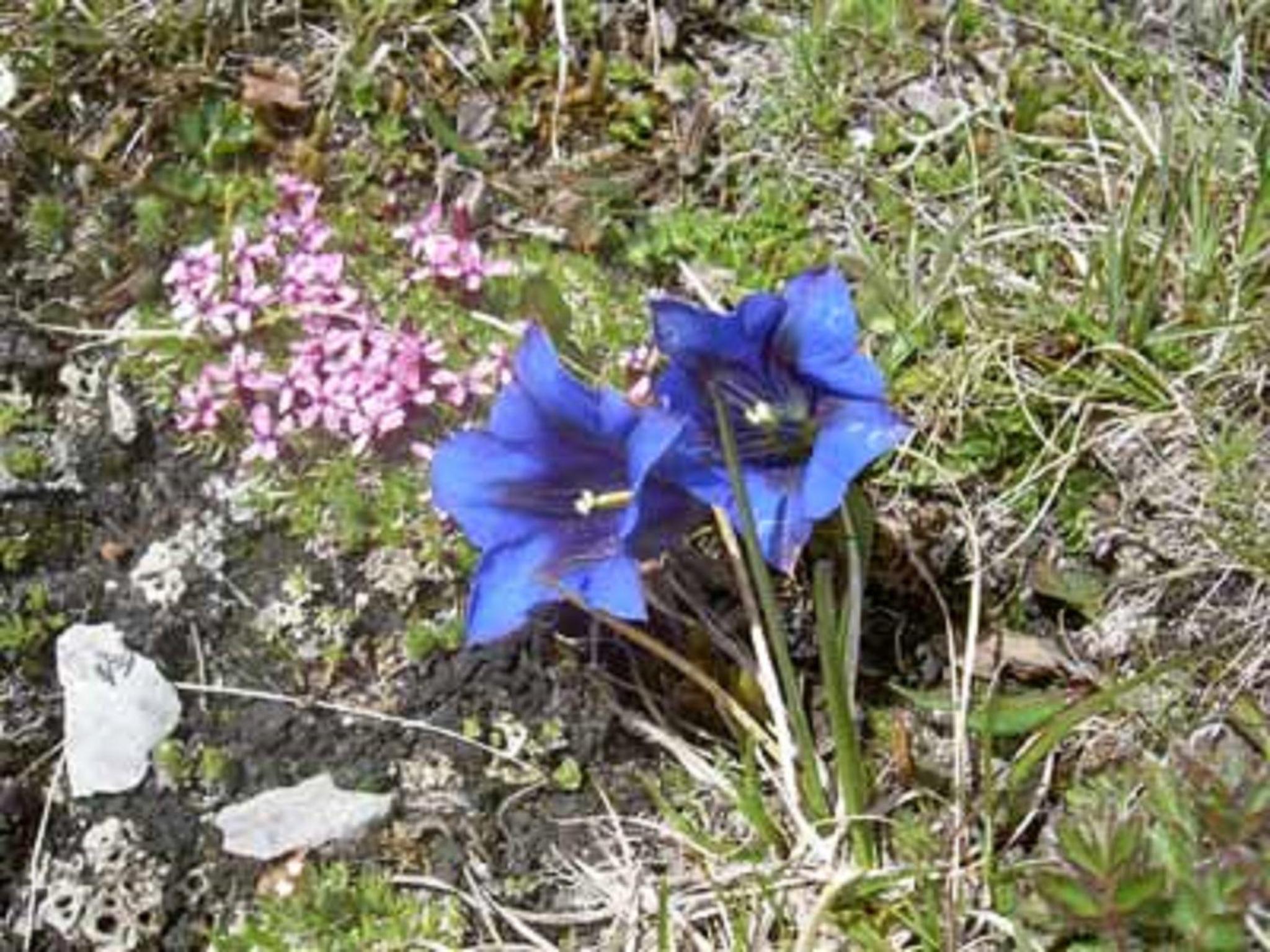 Photo 29