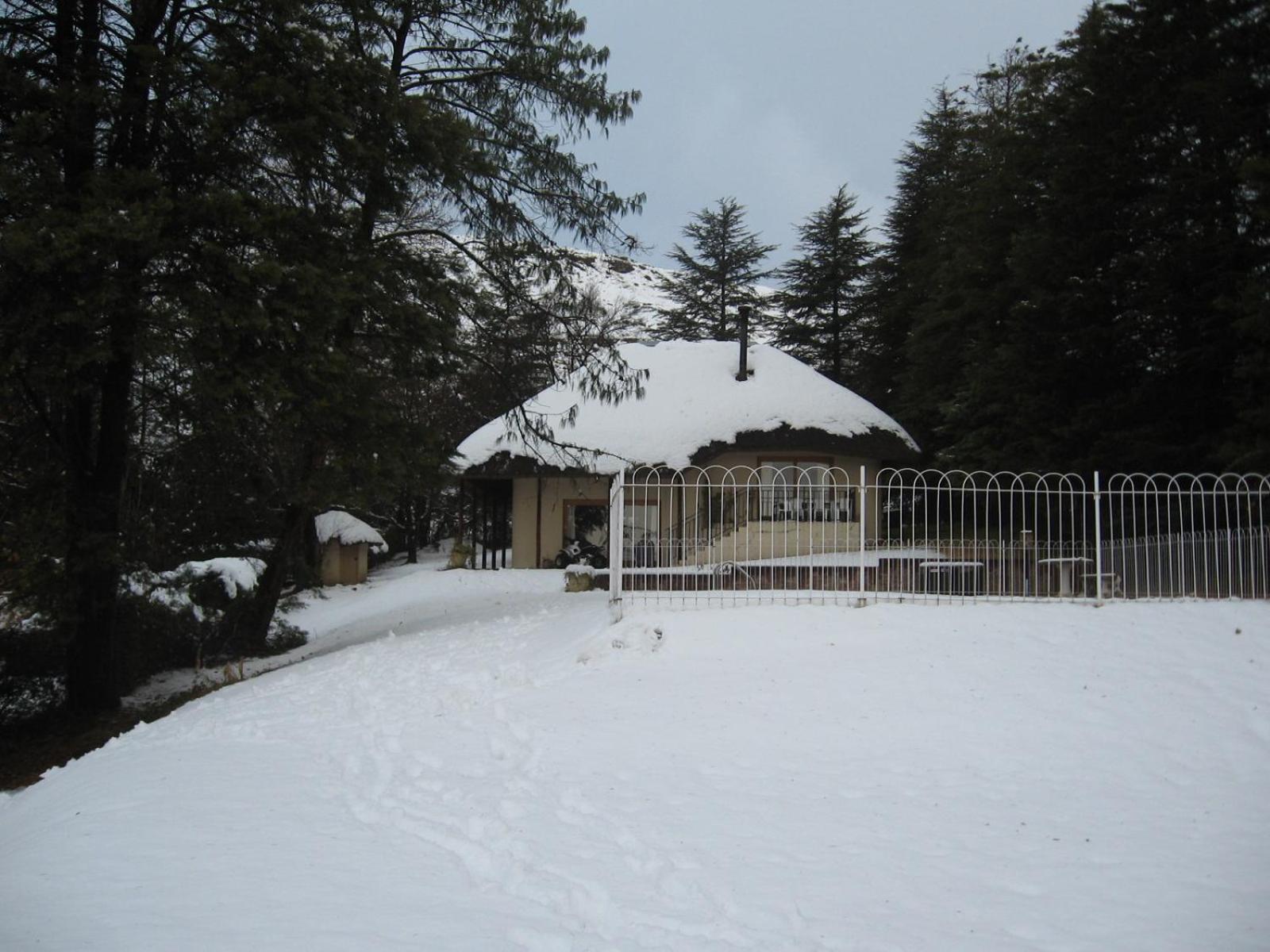 Lairds Lodge view 5