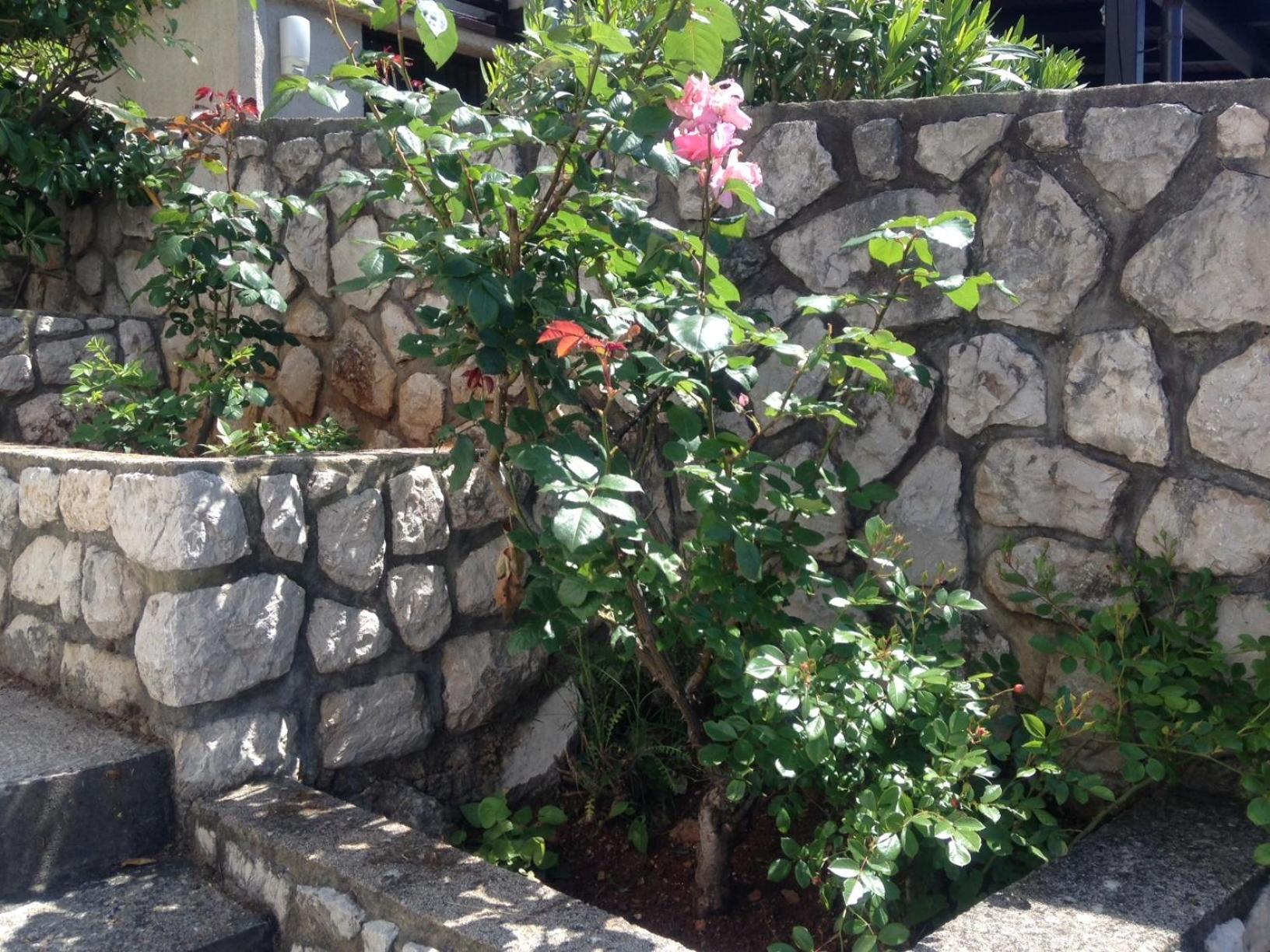 Photo 27