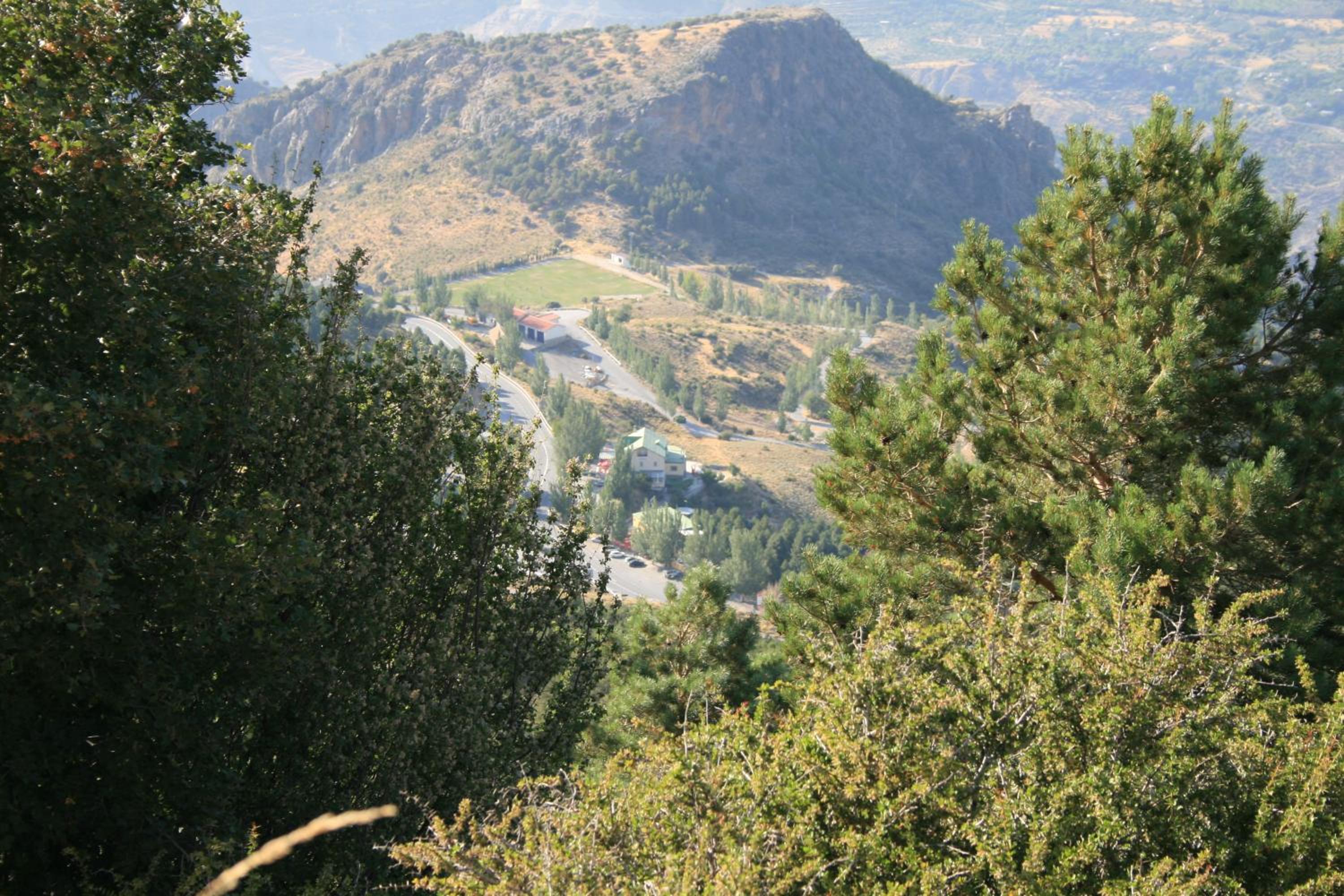 Photo 21