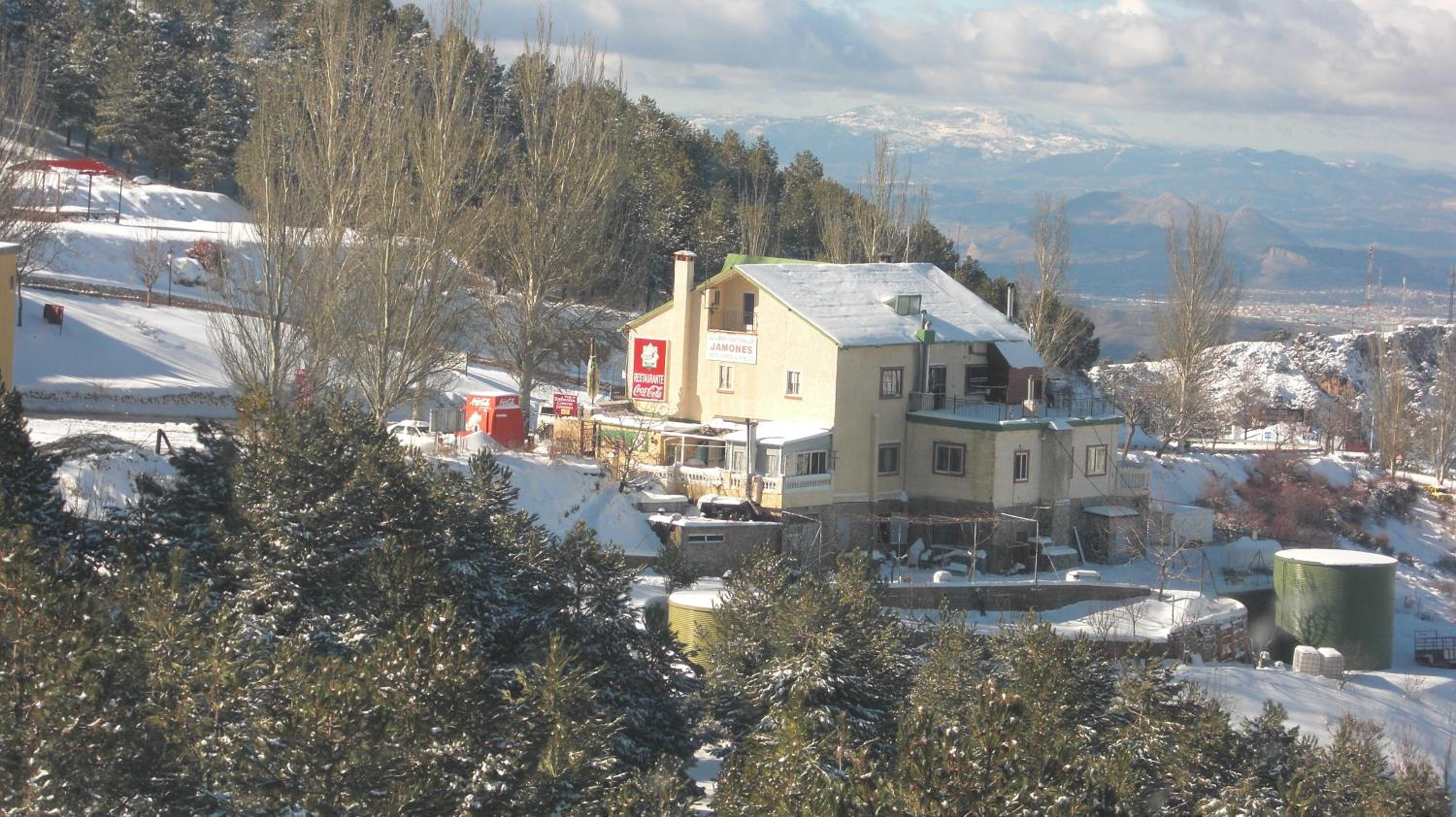 Photo 11