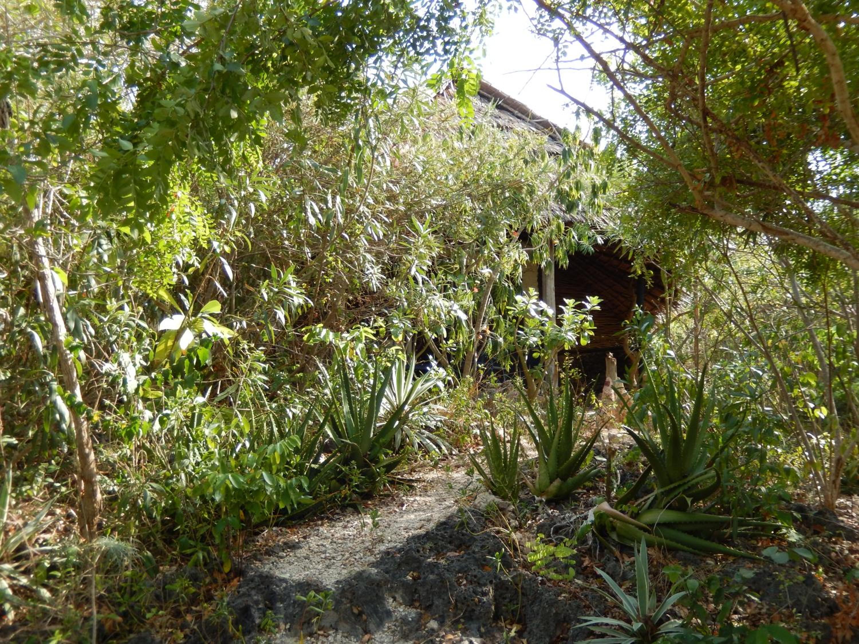Blue Monkey Beach Cottages view 4