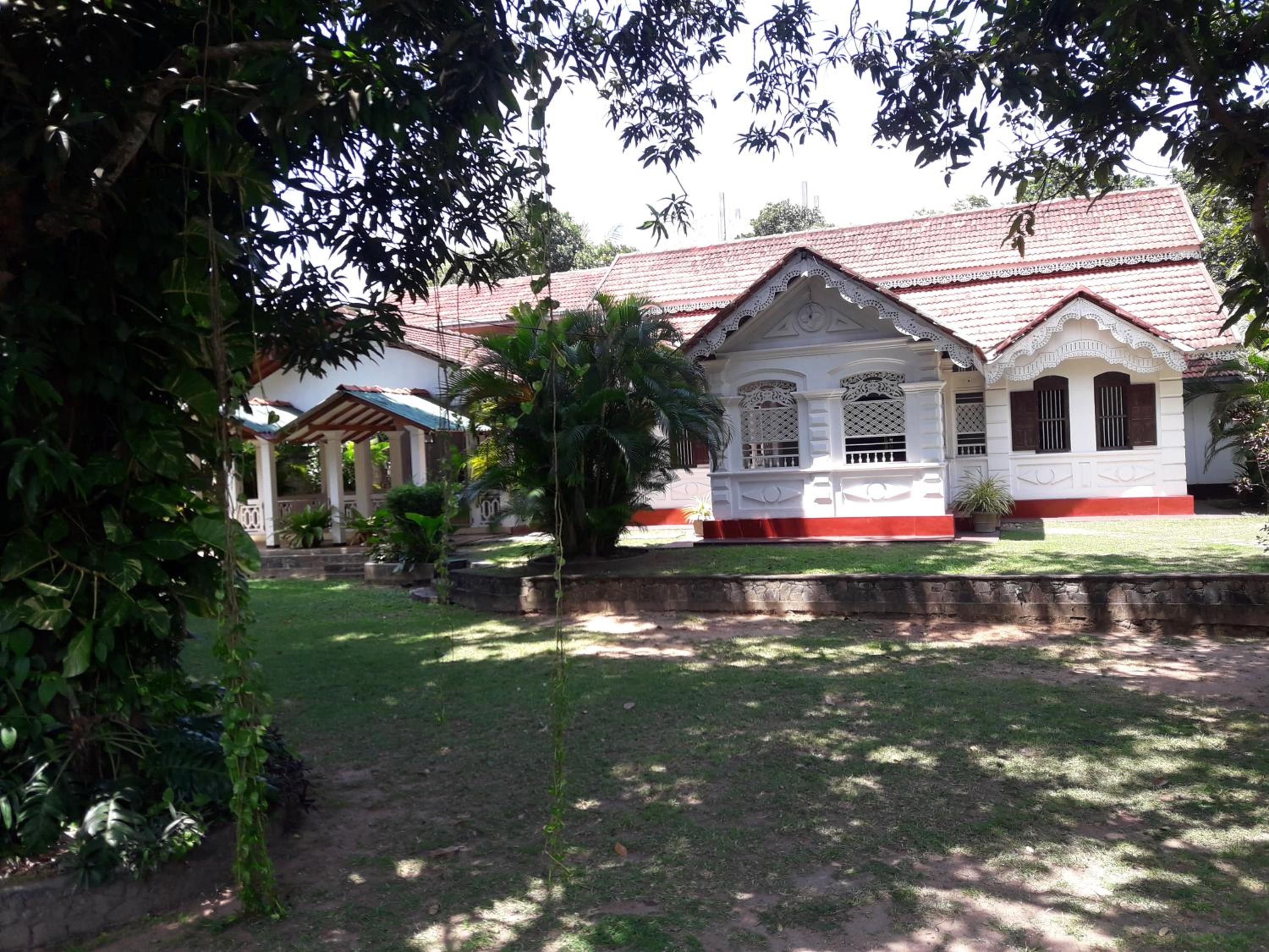Photo 19