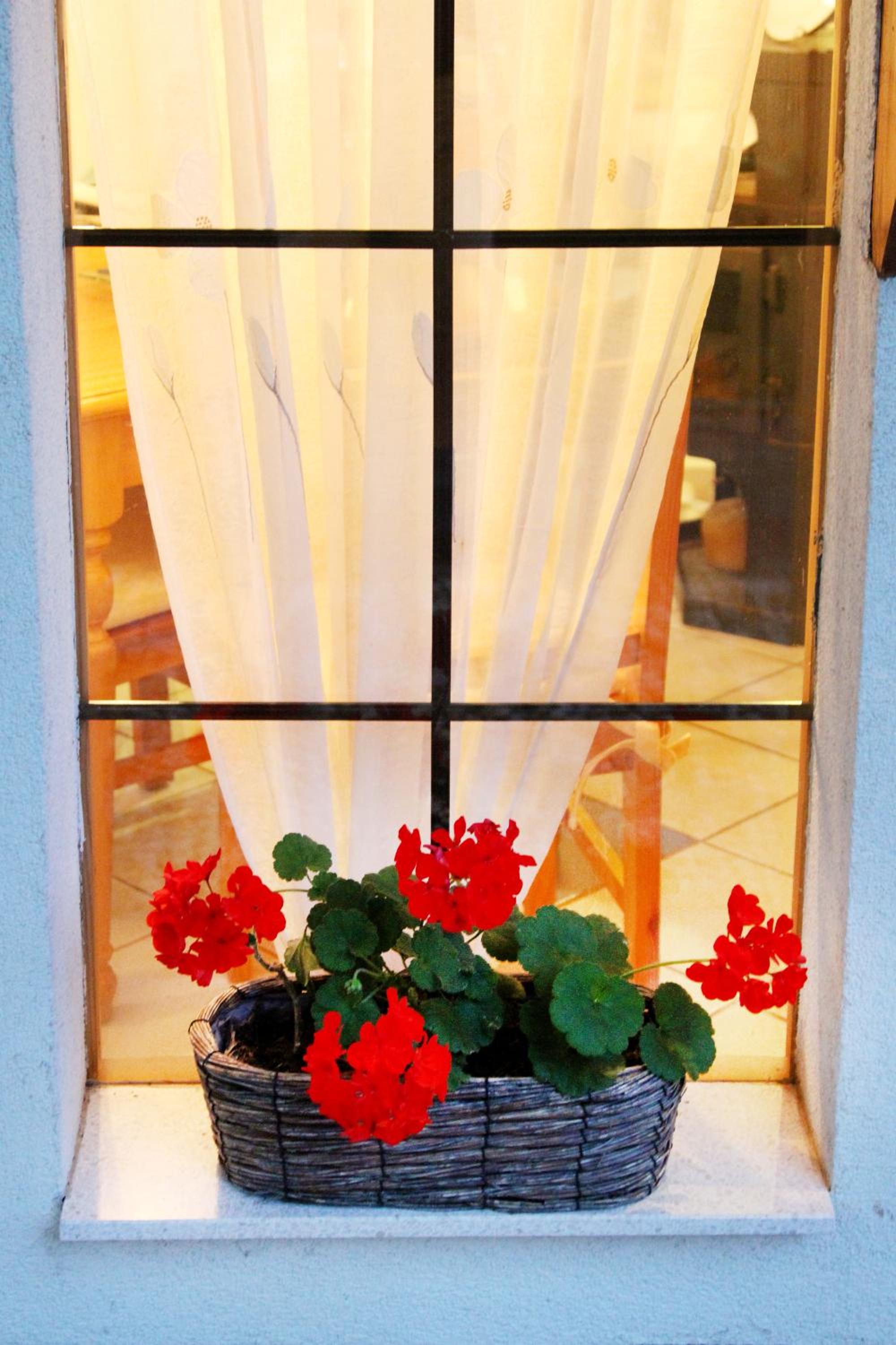 Photo 46