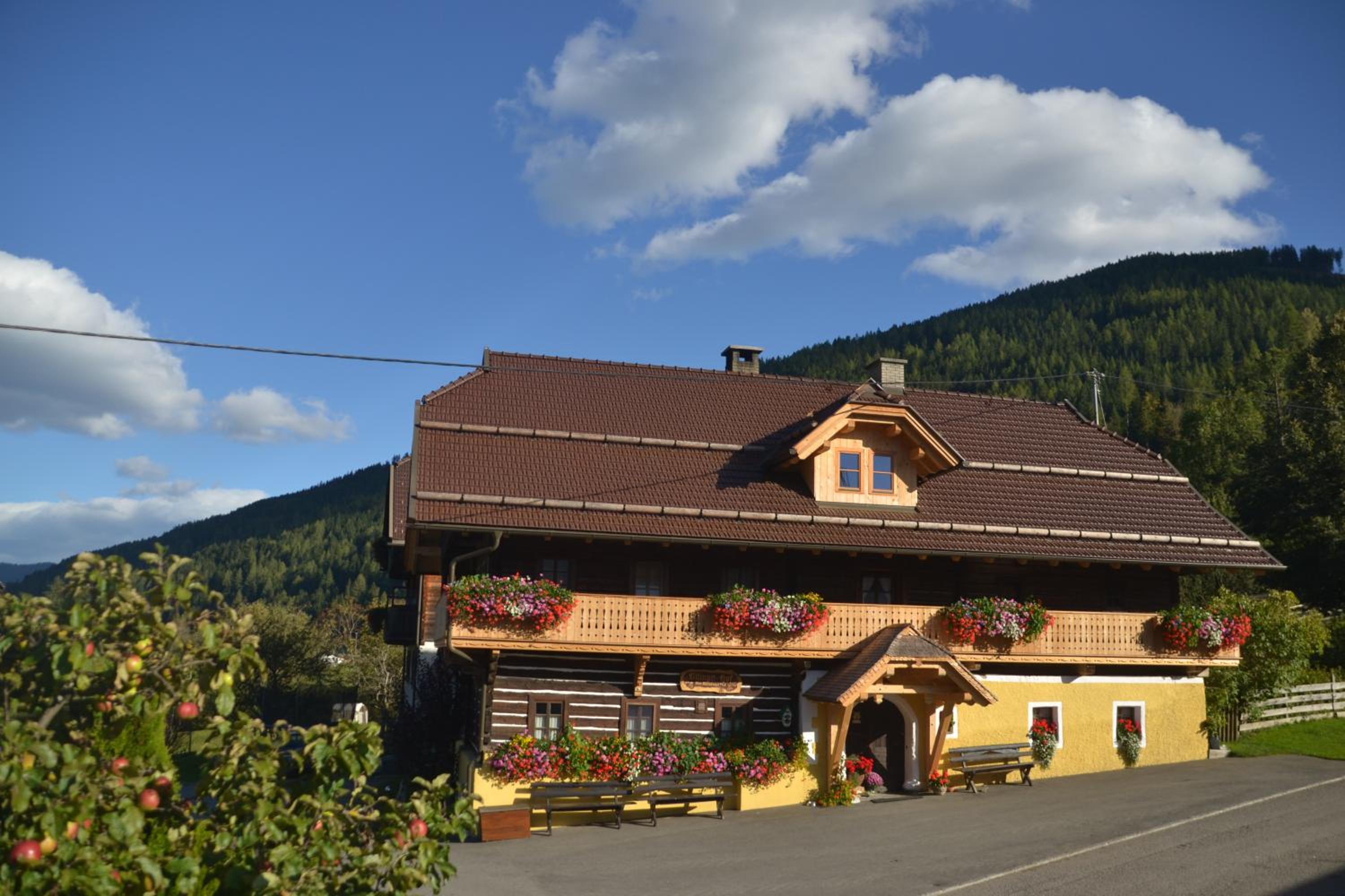 Bad Kleinkirchheim Bio Naturhof Ottingerhof