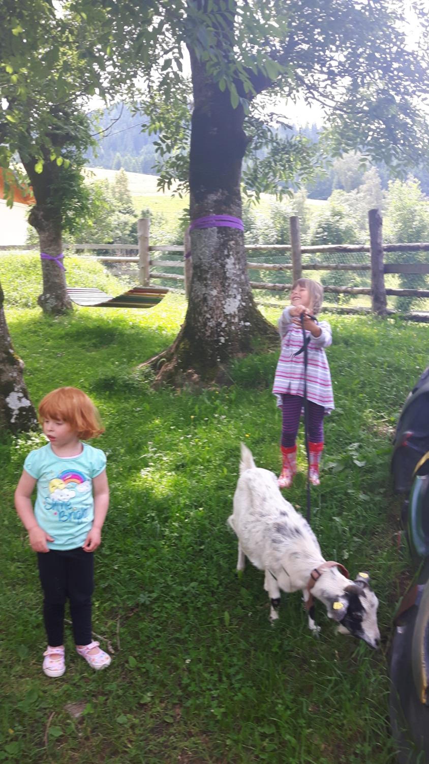 Bad Kleinkirchheim Bio Naturhof Ottingerhof