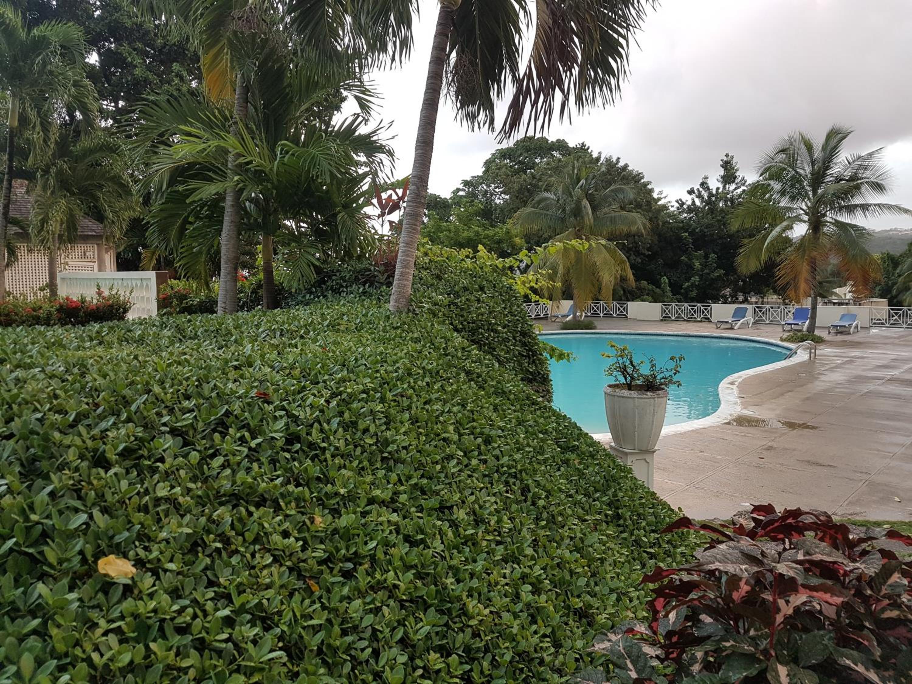 Skycastle Oasis