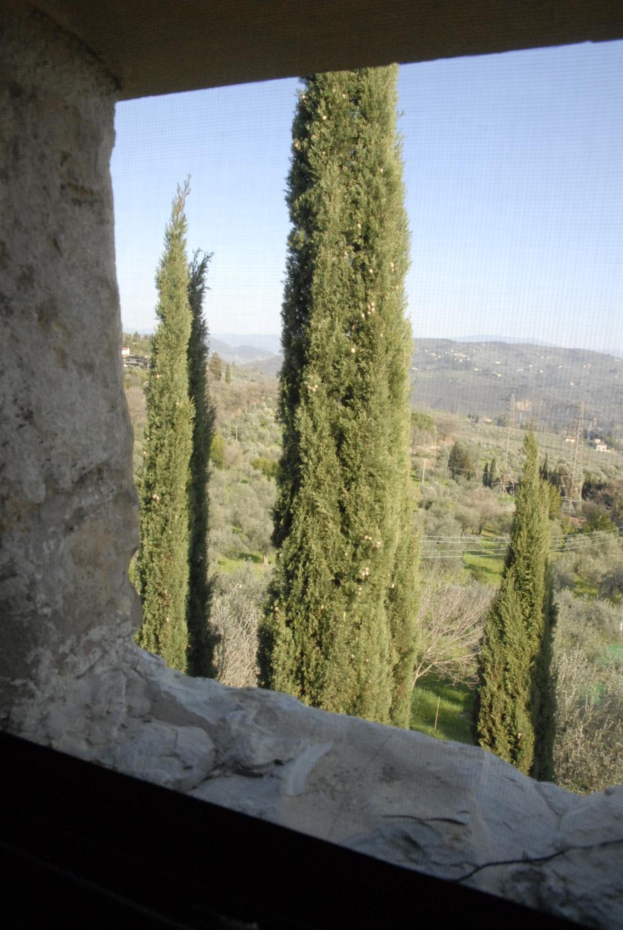 Photo 33
