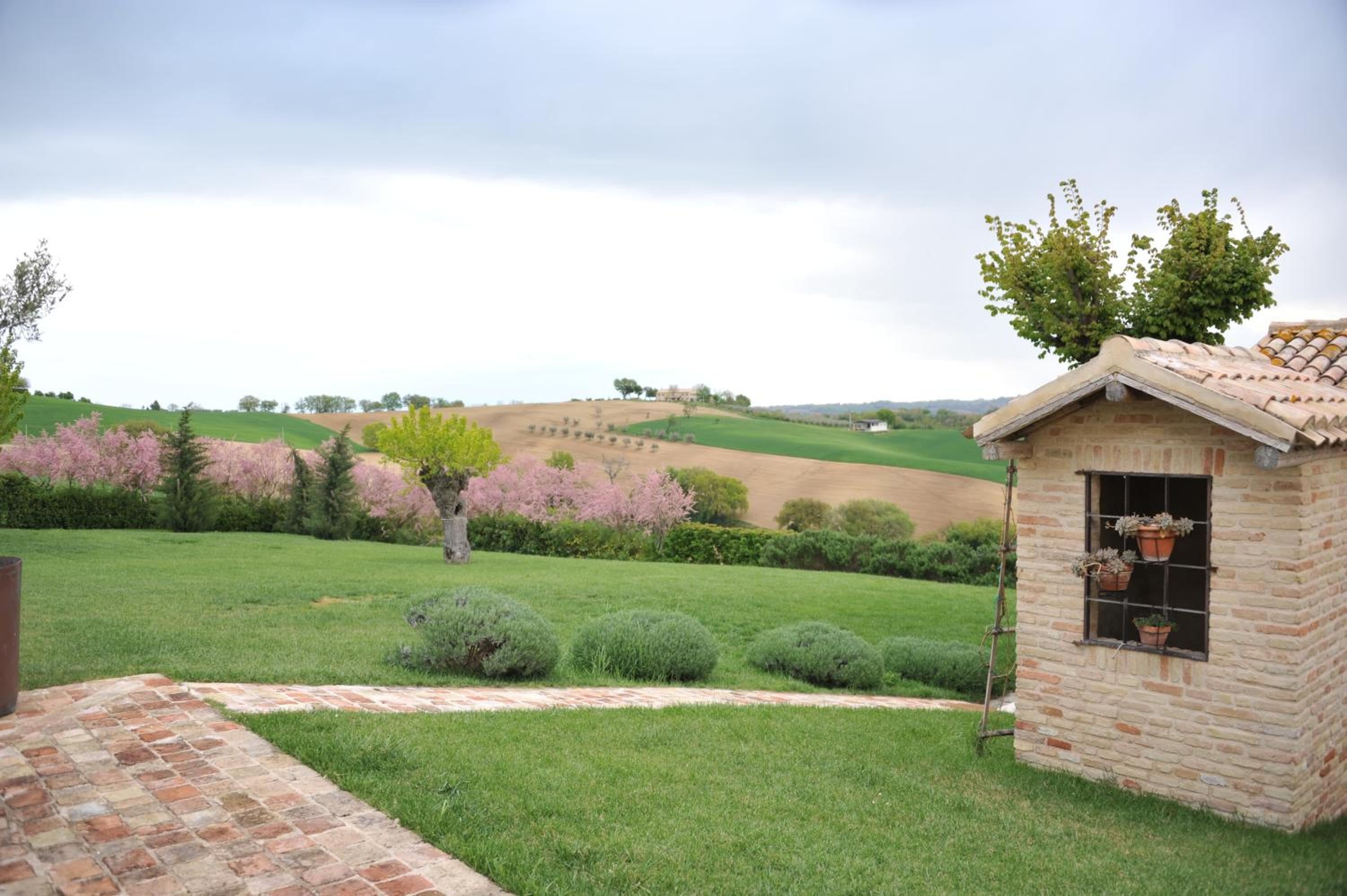 Photo 20
