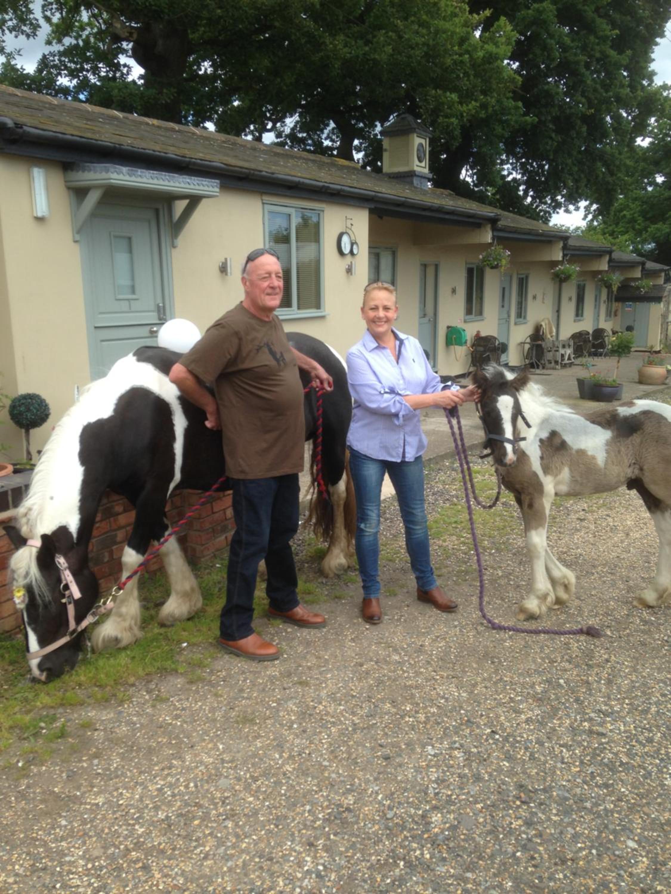 The Stables - Deer Park Farm