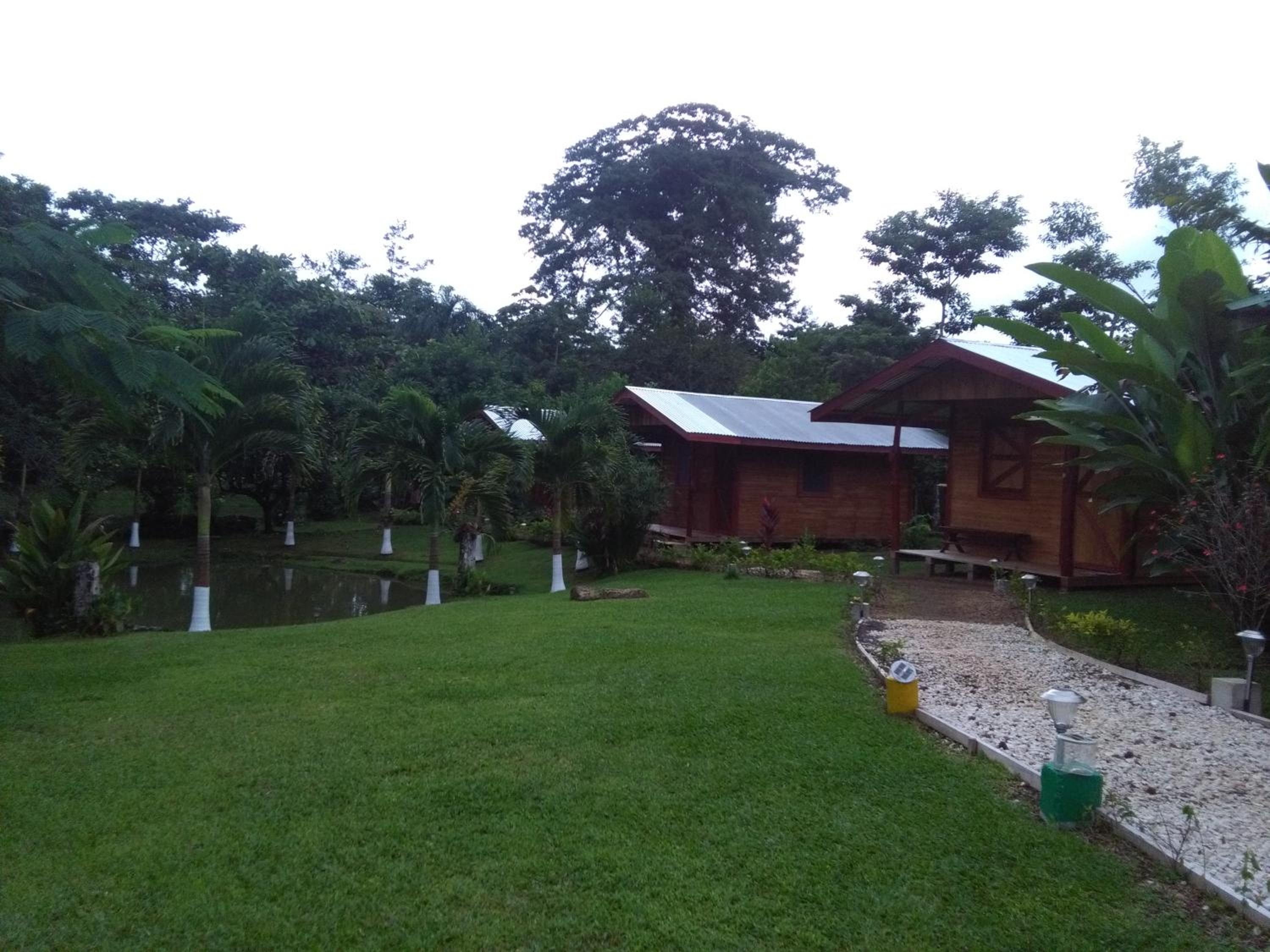 Photo 28