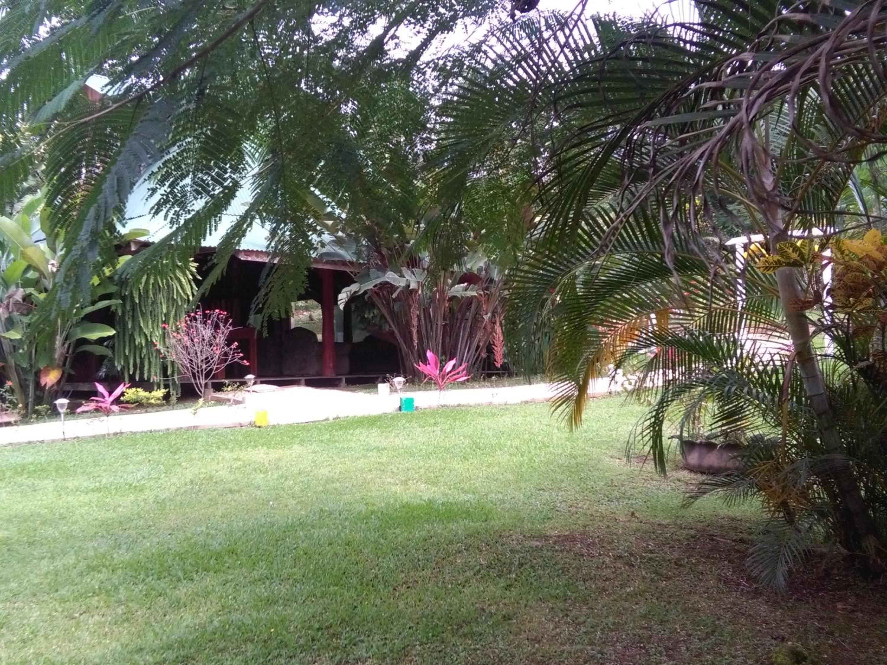 Photo 22