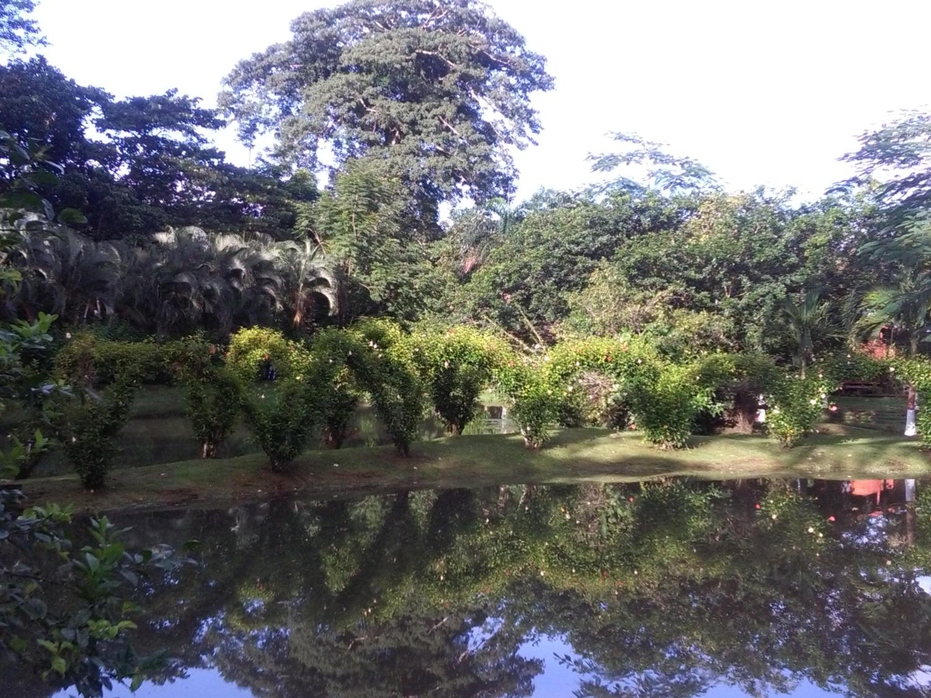 Photo 43